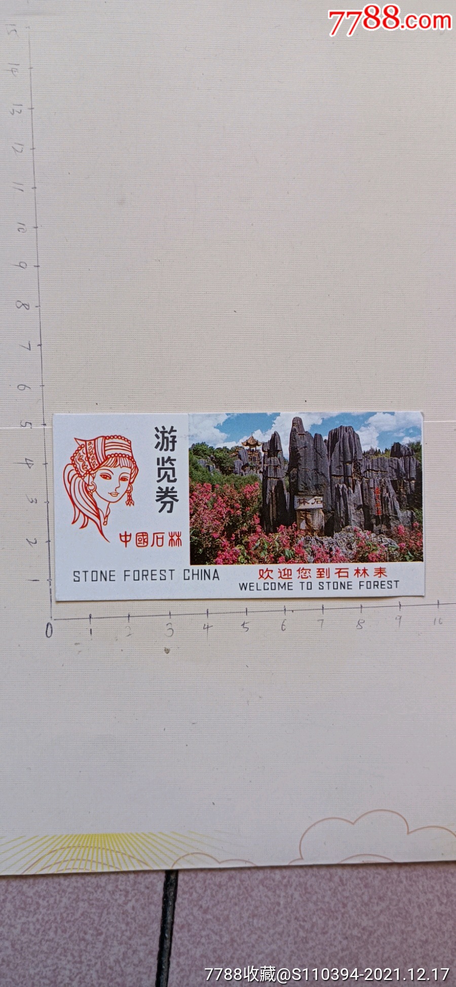 门票中国石林