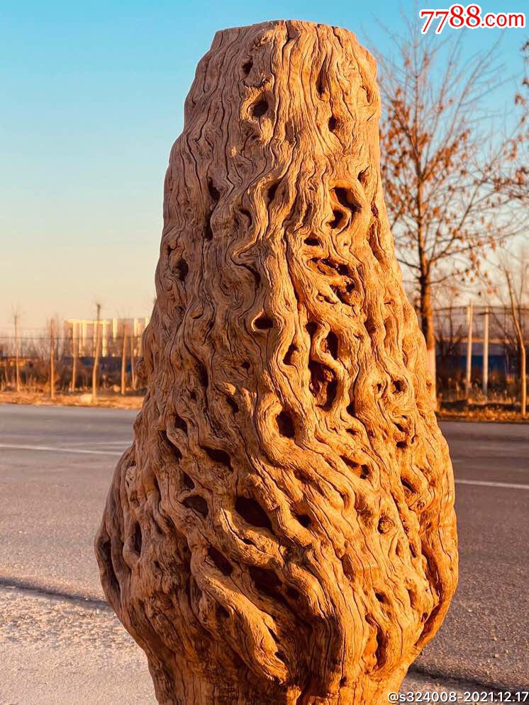 枣木可做花架自然风化已清洗