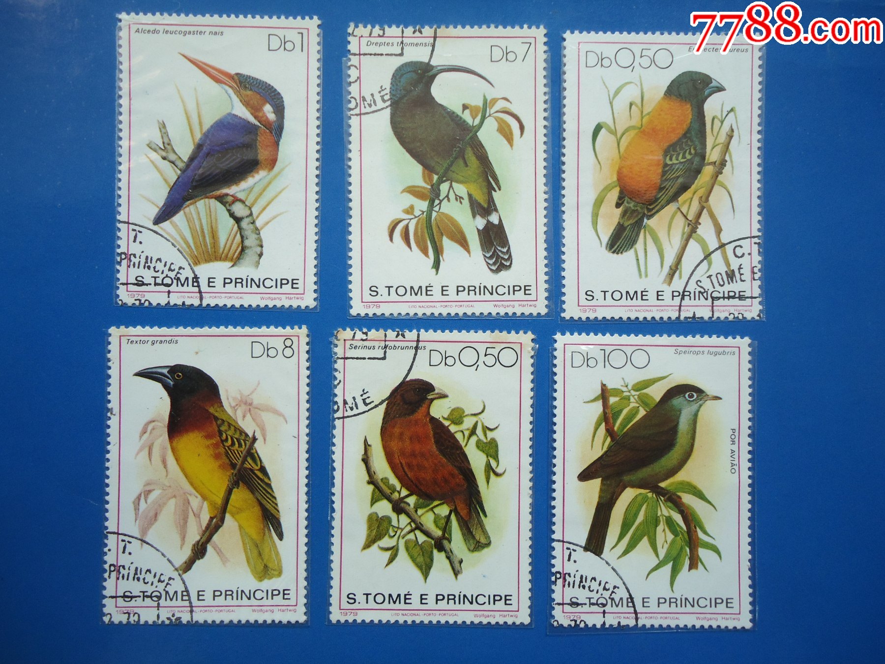 阿拉伯利比亚1979年发行《鸟类》(6枚)_非洲邮票_图片鉴赏_收藏价值