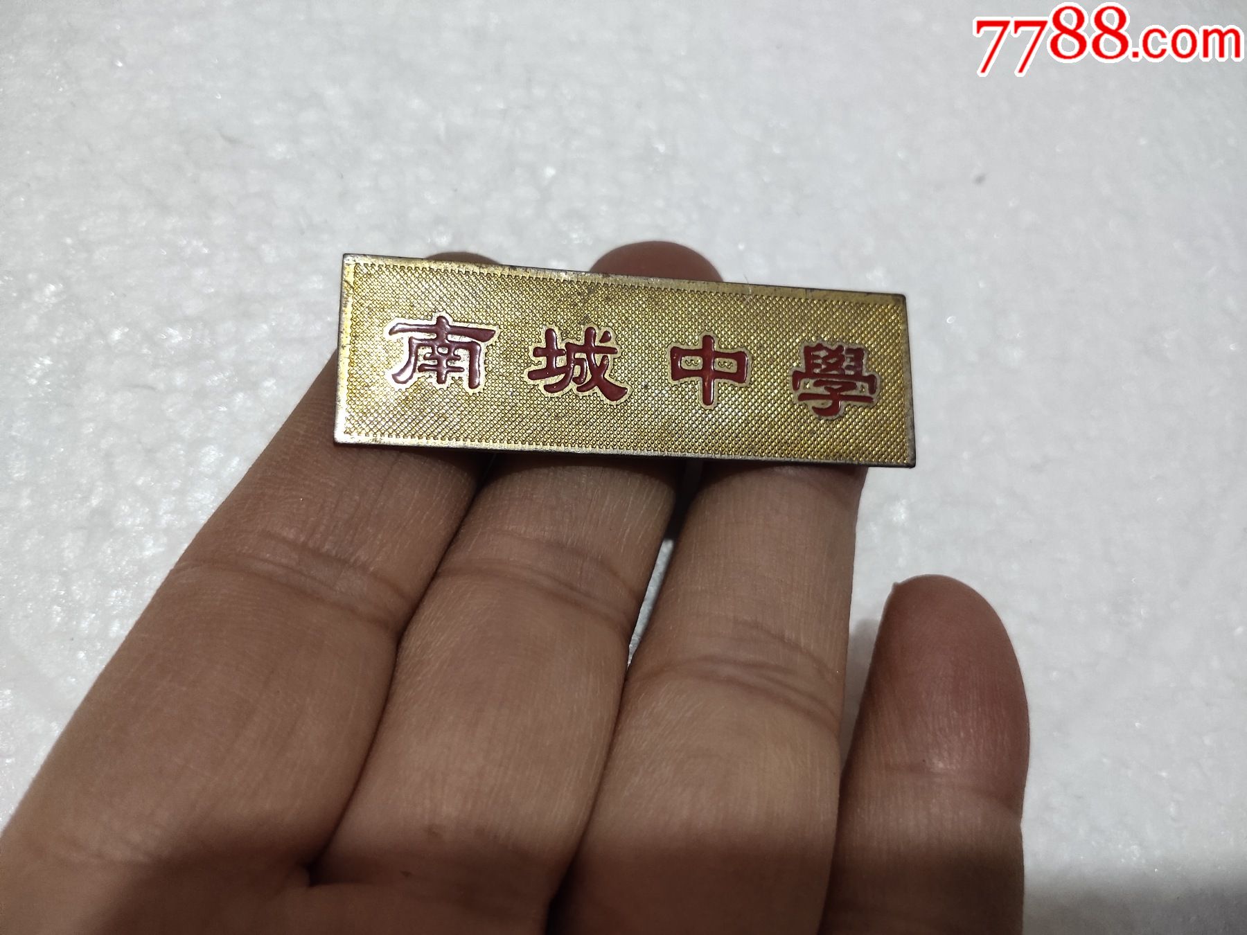 南城中学校徽