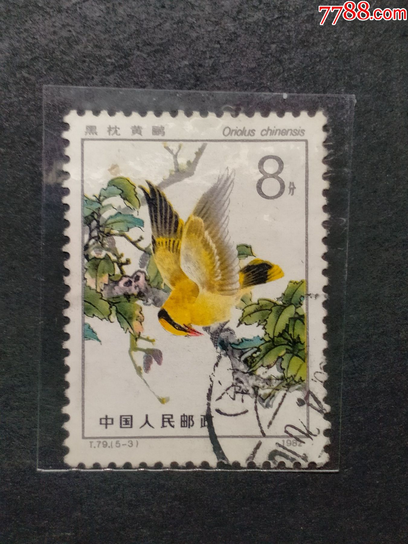 t79益鸟_新中国邮票_图片收藏_回收价格_7788老酒收藏