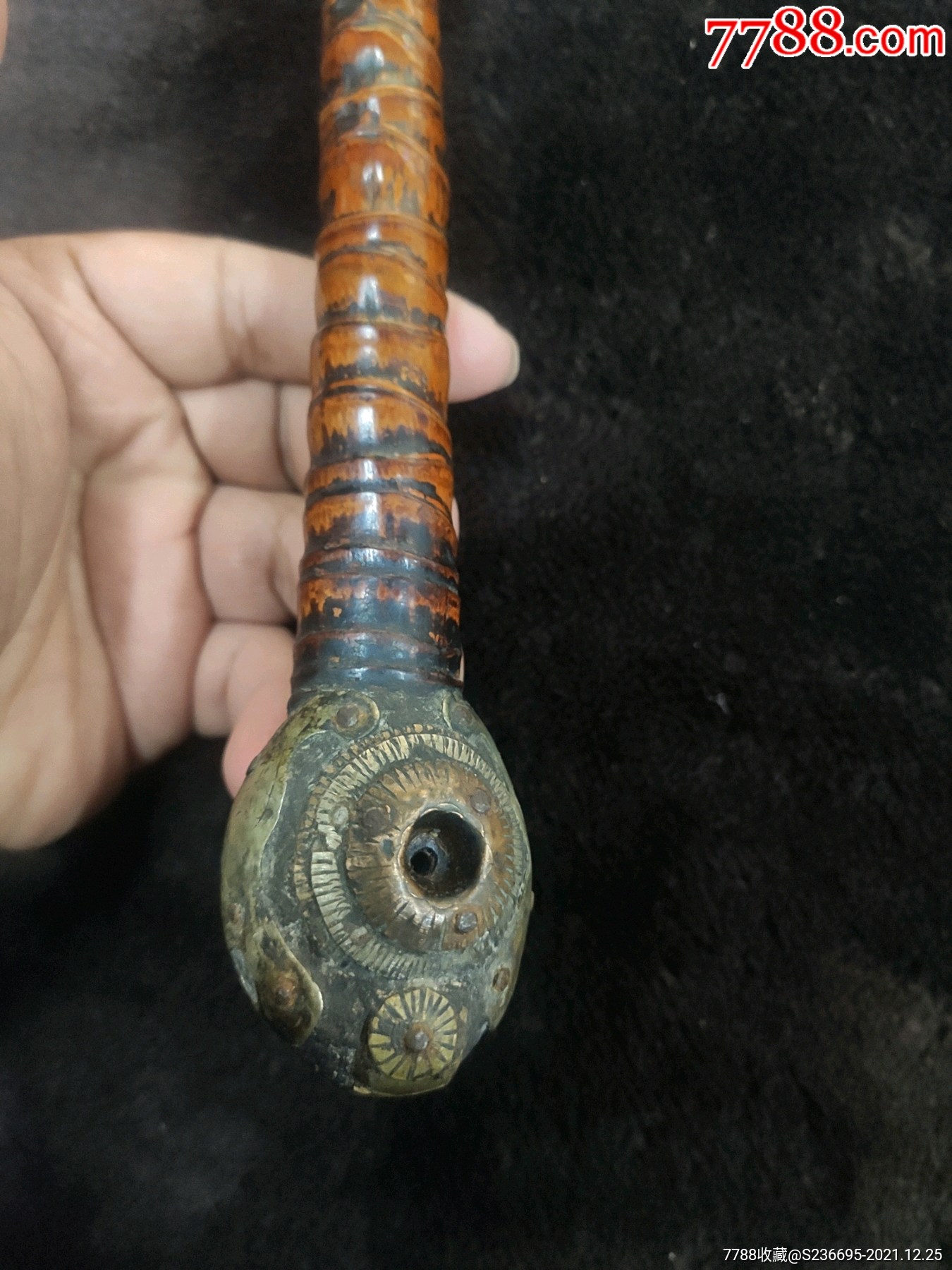 罗汉竹老烟袋