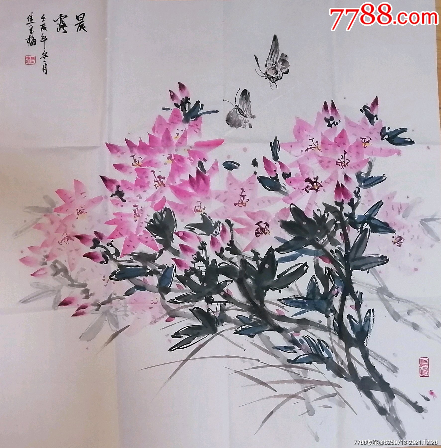 焦玉梅四尺斗方彩花卉