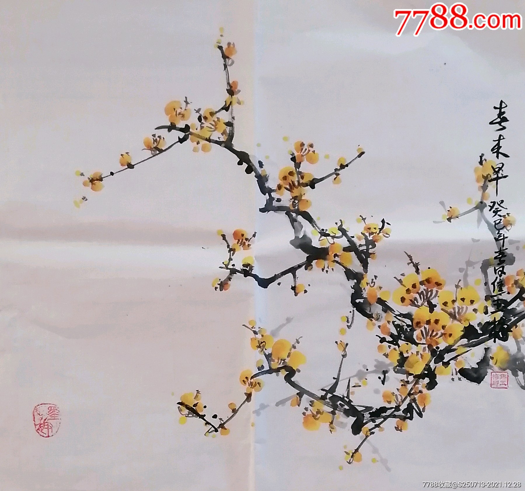 焦玉梅三尺斗方黄梅48*45-价格:80元-se84586895-花鸟国画原作-零售