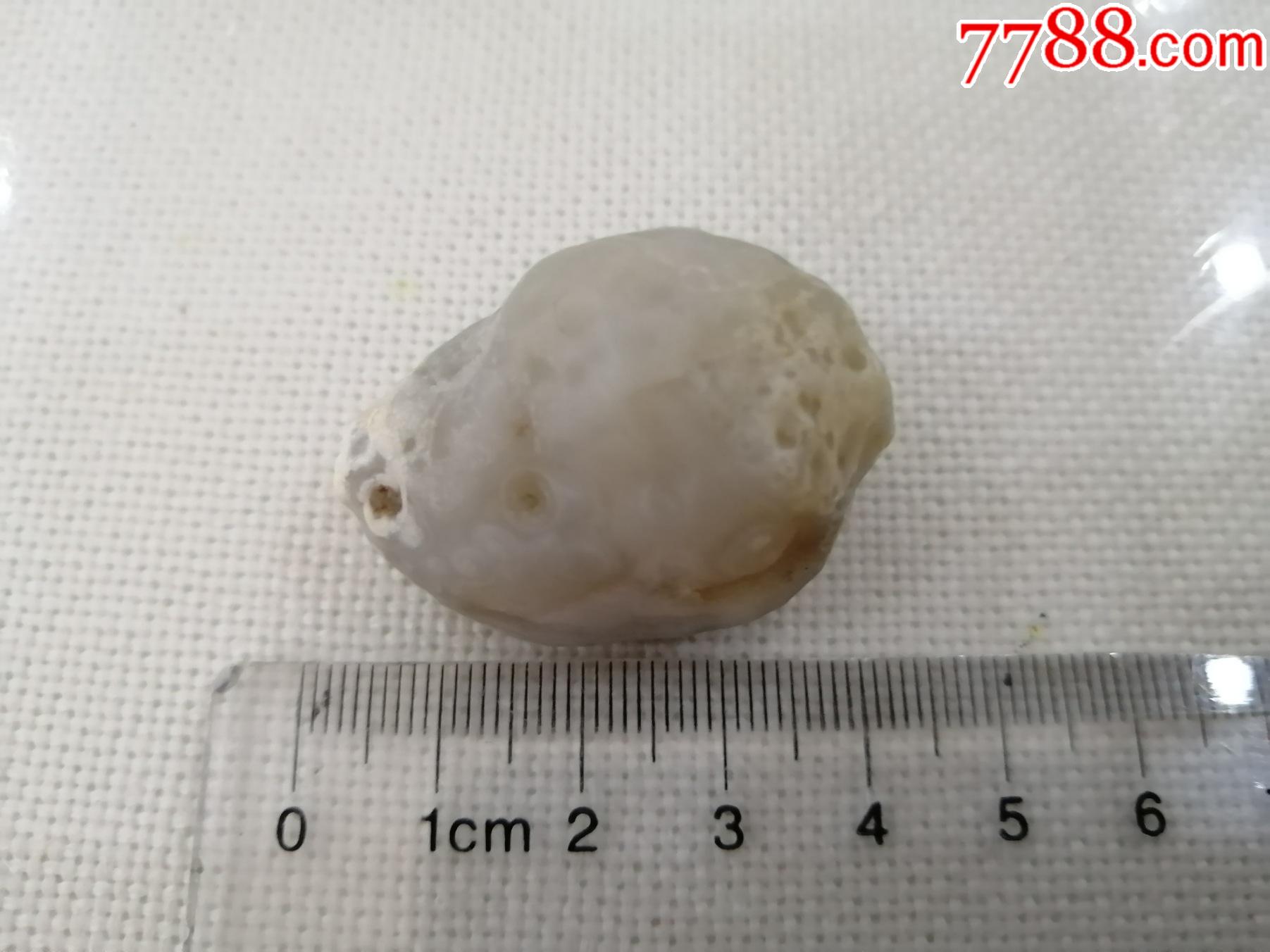 天然内蒙古戈壁玛瑙原石生肖猴头形状尺寸重量见图吉祥如意