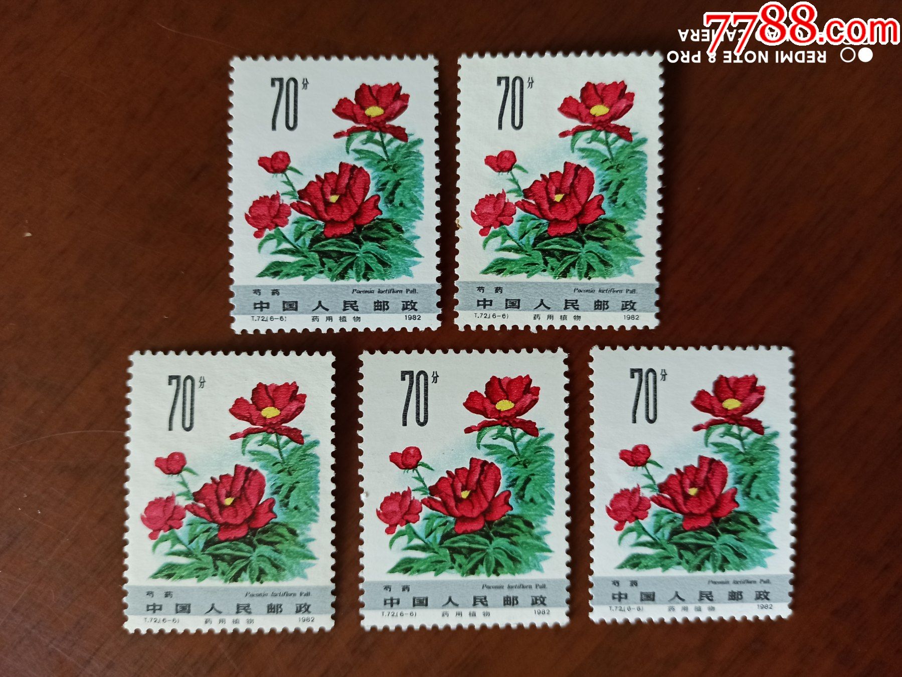 t72药用植物(二)(6-6)_新中国邮票_收藏行情_回收价格_7788邮票收藏