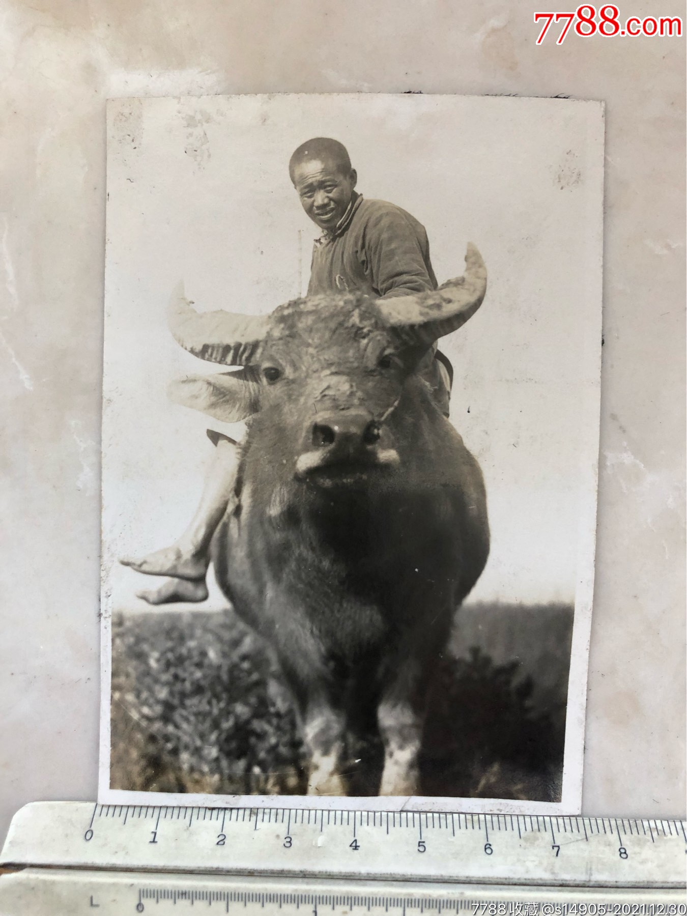 民国时期民俗原版老照片骑在牛背上的赤脚老农