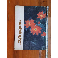 张大千画集》大开本软精装，中国美术出版社2011年初印3000册（外铁柜二