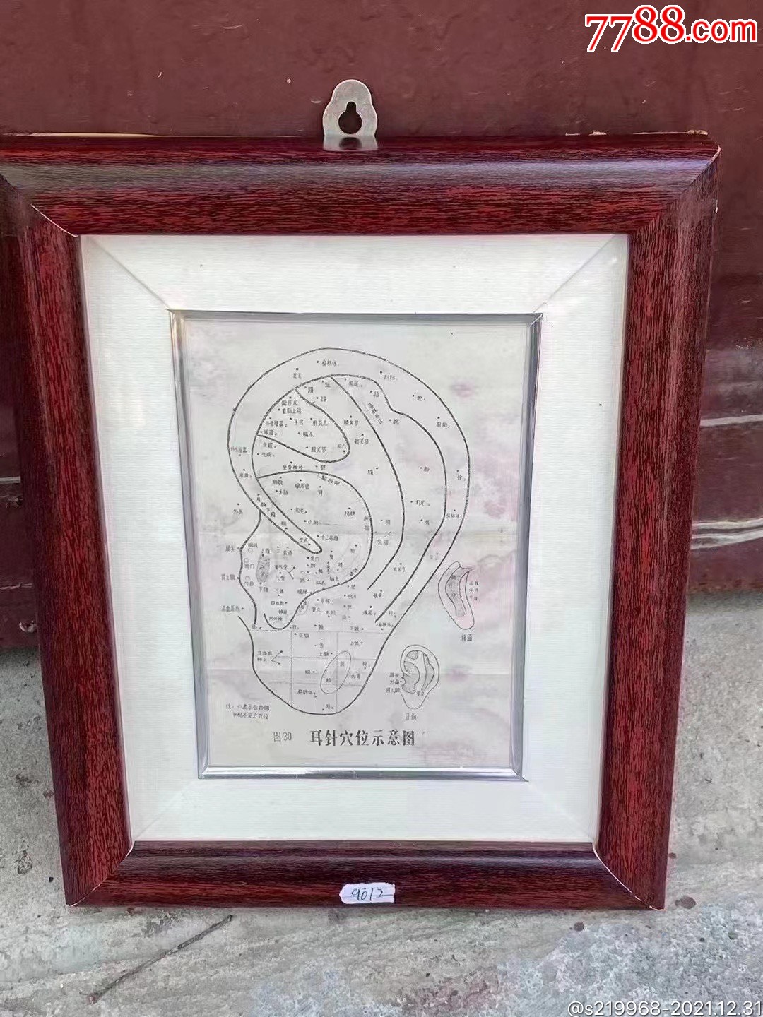 耳针穴位示意图品如图尺寸28x22厘米