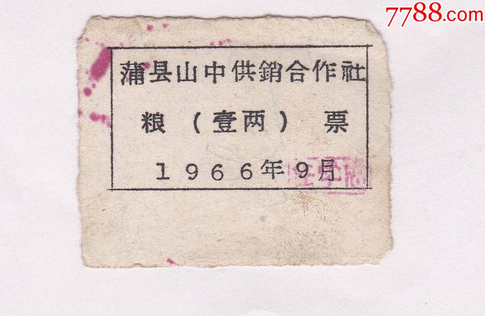 1966年山西省蒲县中山供销社粮票1市两1枚