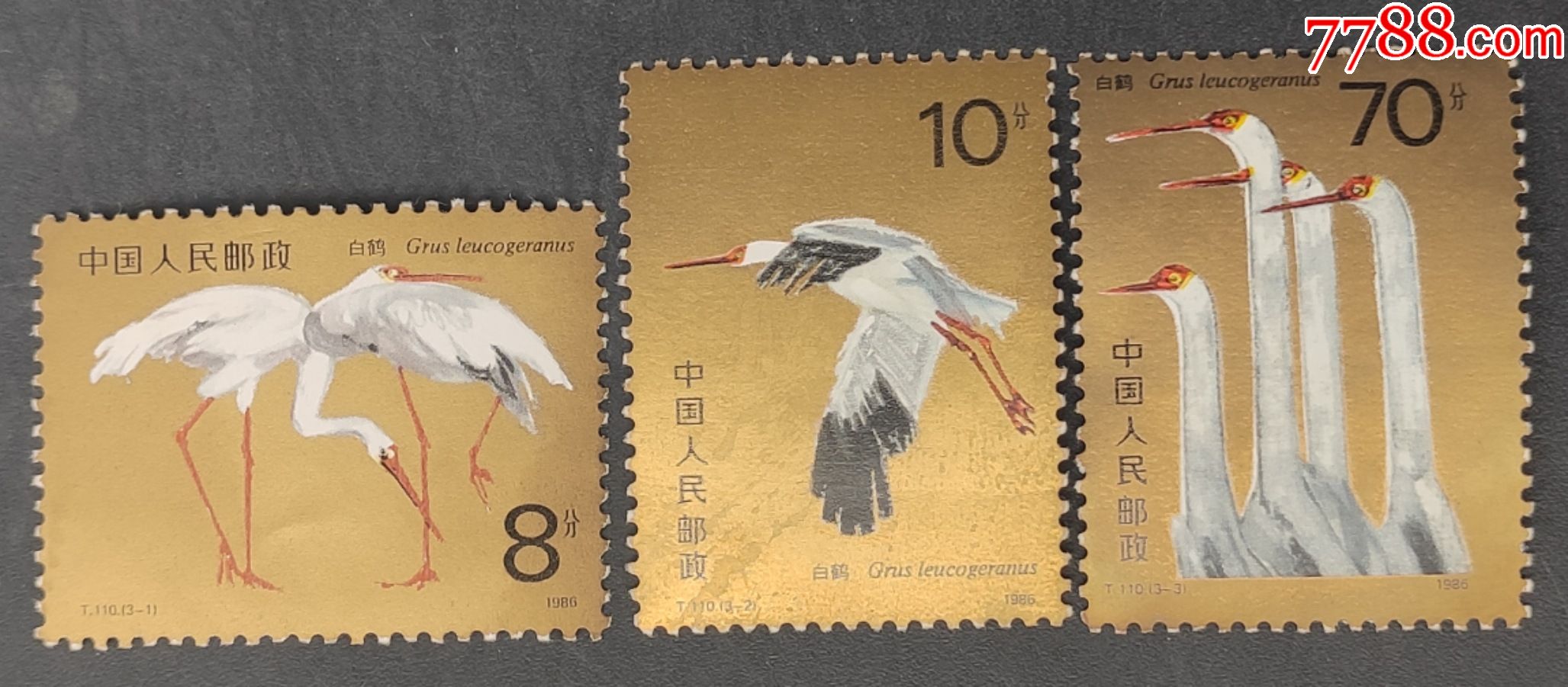 t110白鹤邮票一套3枚