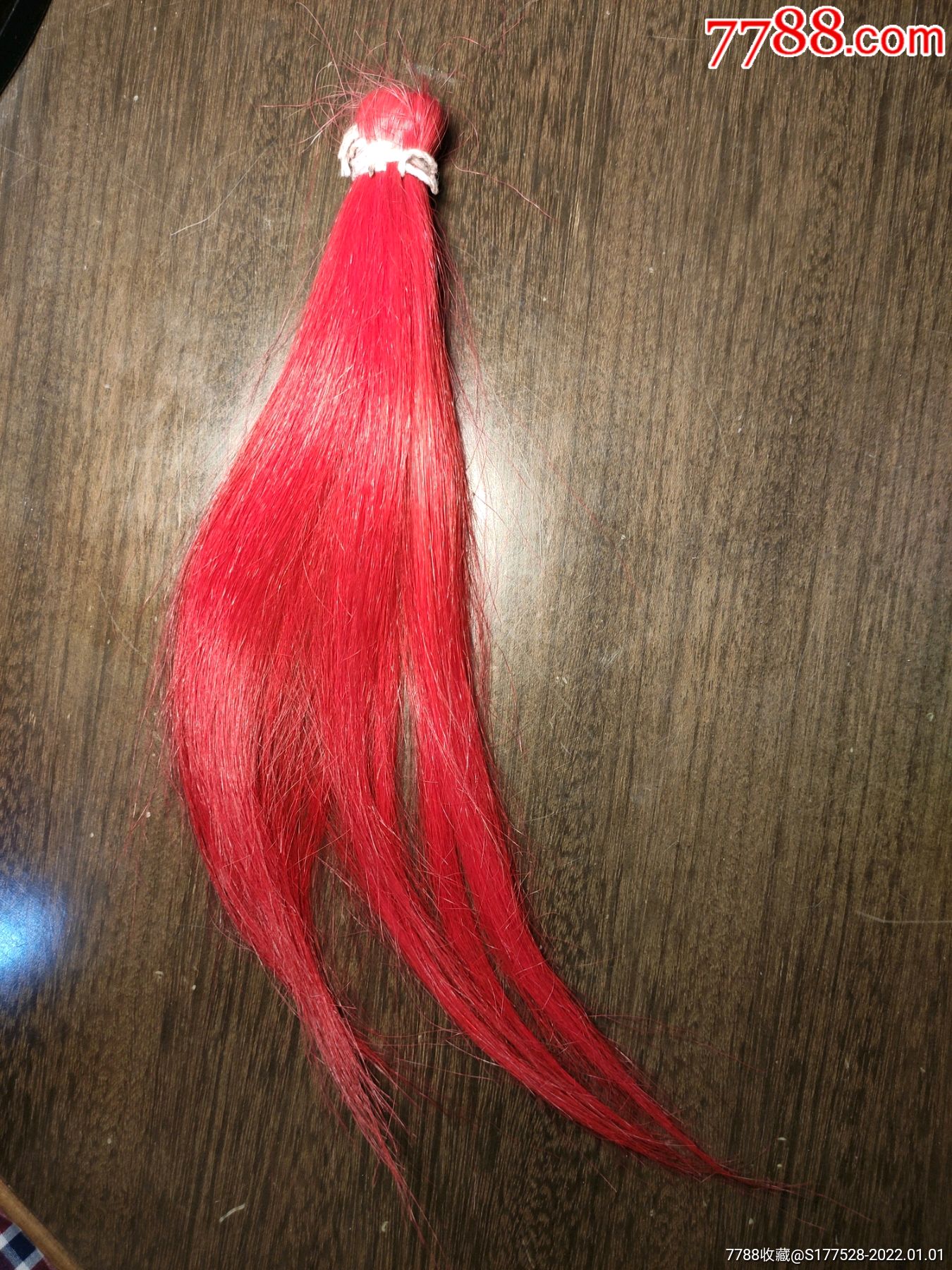 少见佛尘头毛红缨