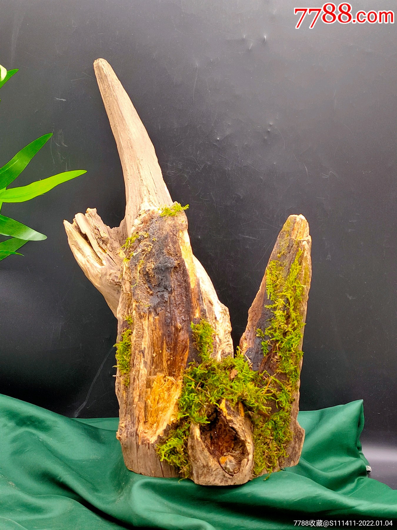 亿万年北沉香天然明子木琥珀木摆件