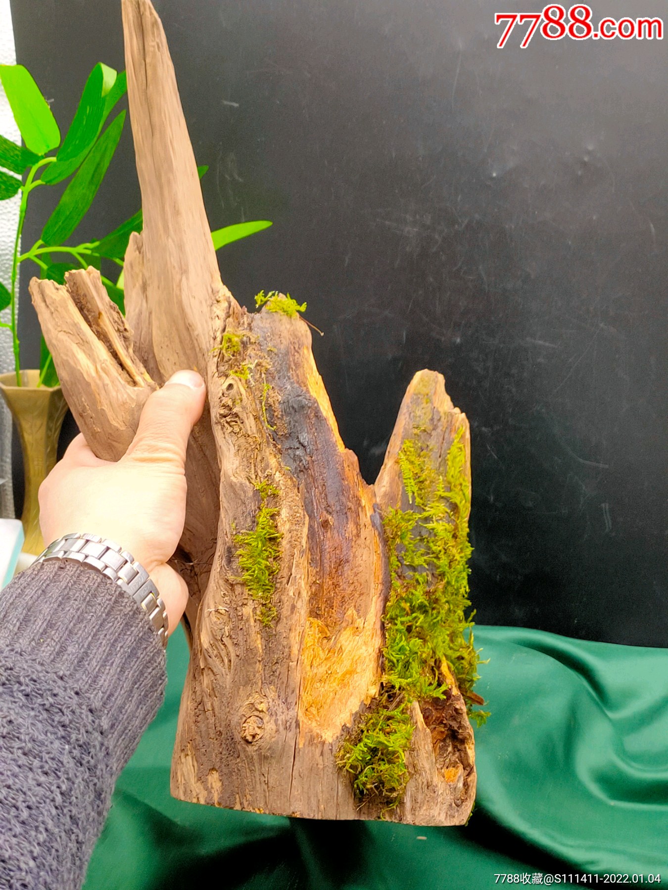 亿万年北沉香天然明子木琥珀木摆件