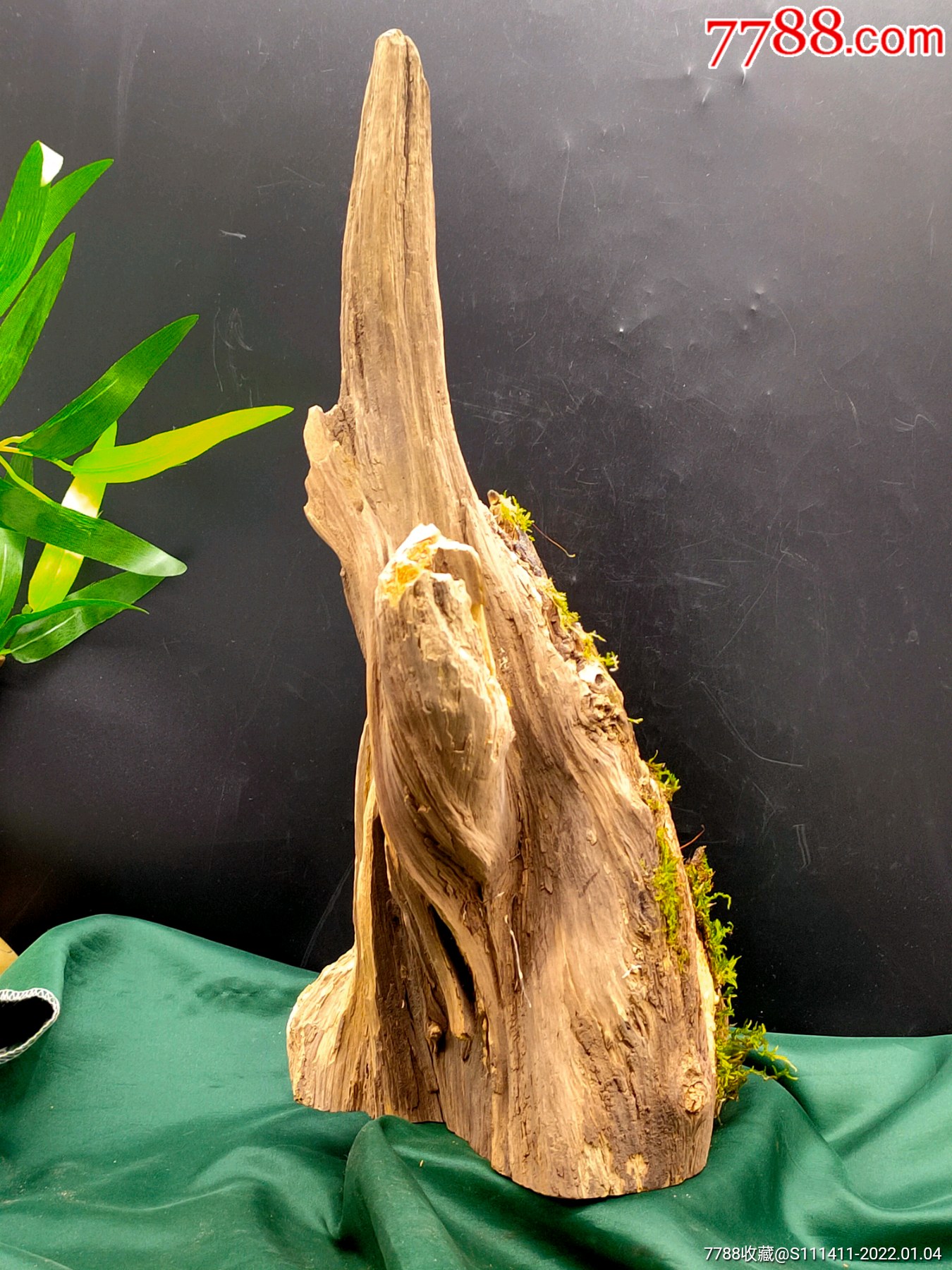 亿万年北沉香天然明子木琥珀木摆件