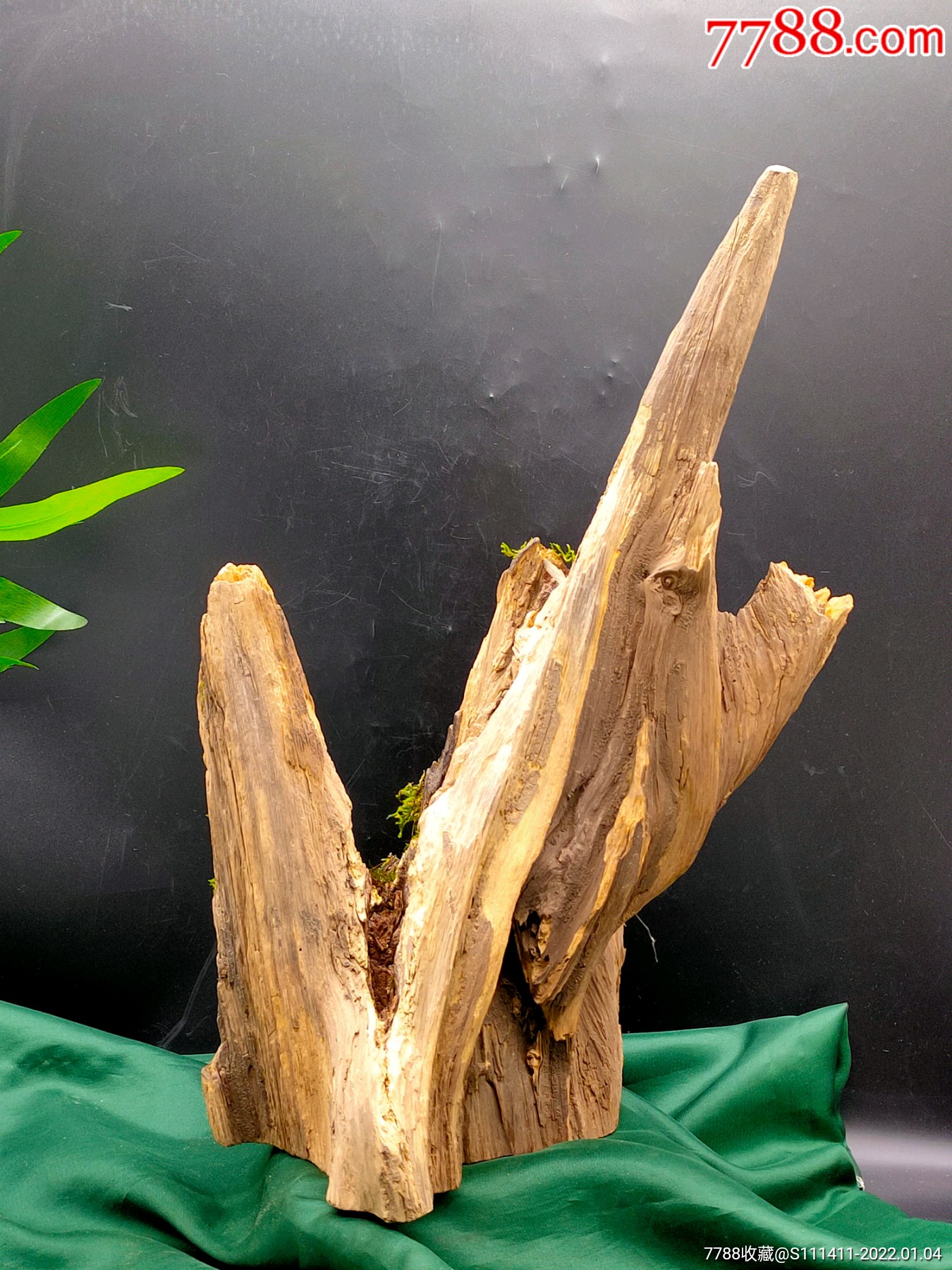 亿万年北沉香天然明子木琥珀木摆件