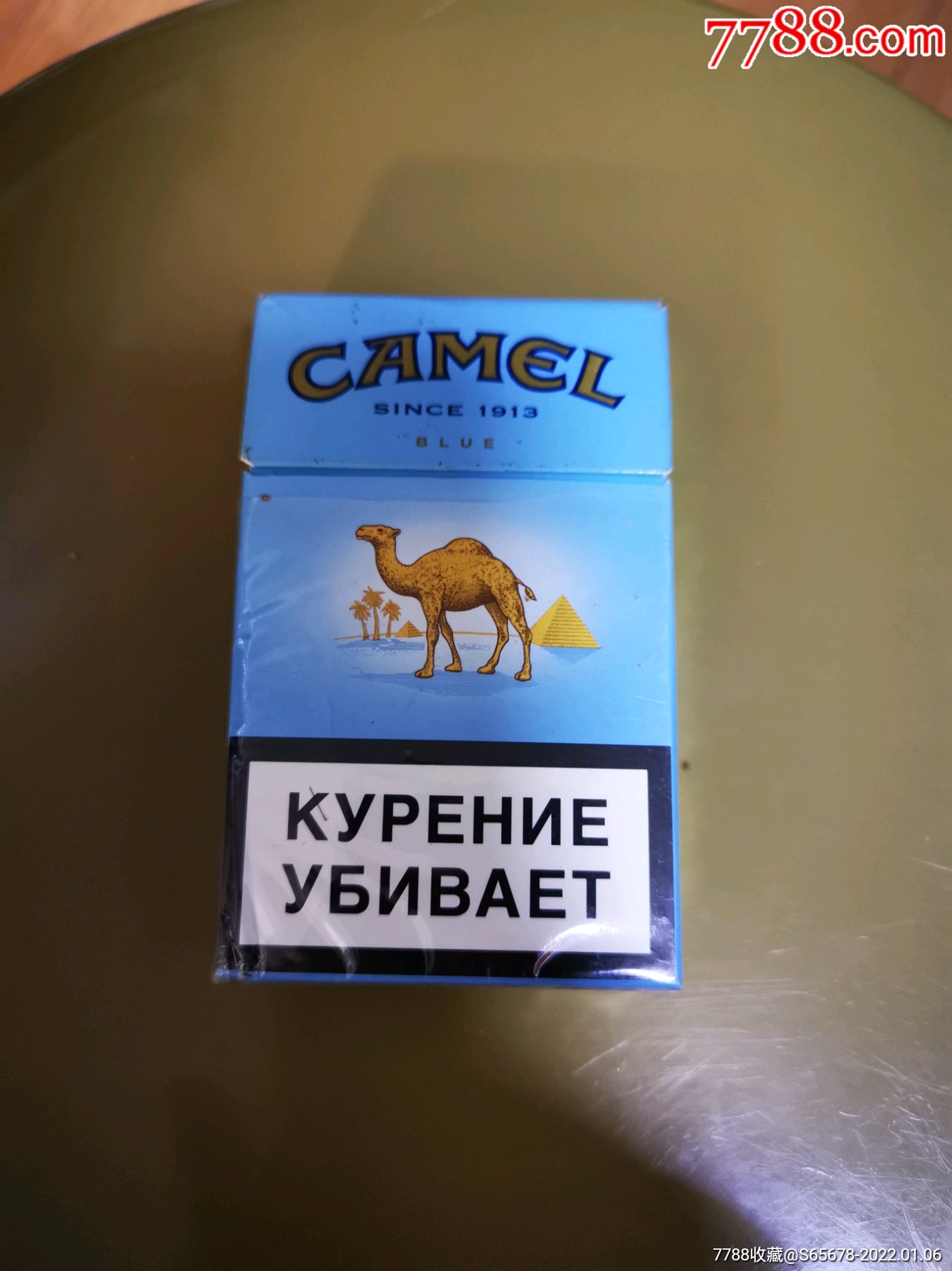 日本烟骆驼图片