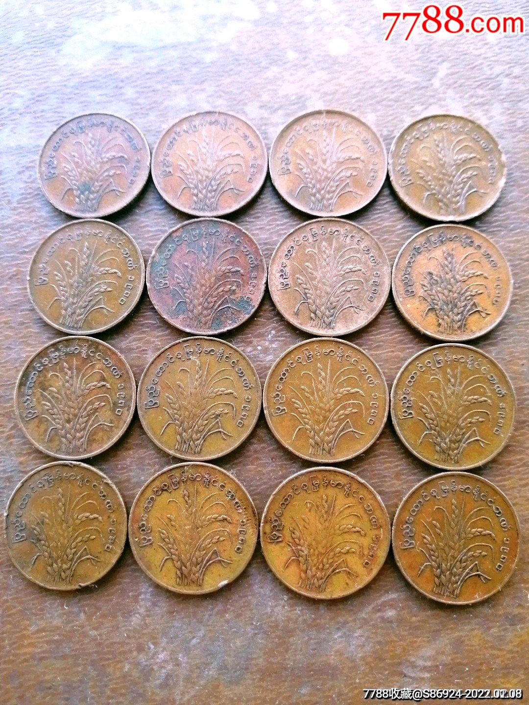 缅甸硬币图片大全图片