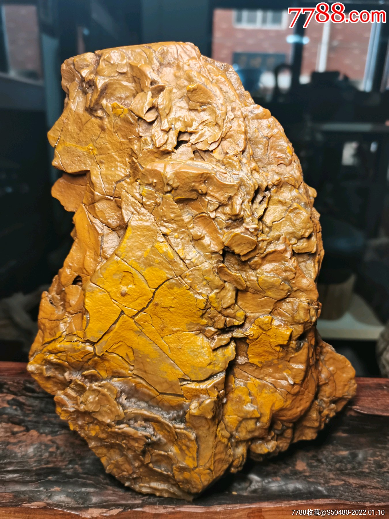 内蒙阿拉善戈壁黄碧玉牙石马牙开片象形石沙漠漆