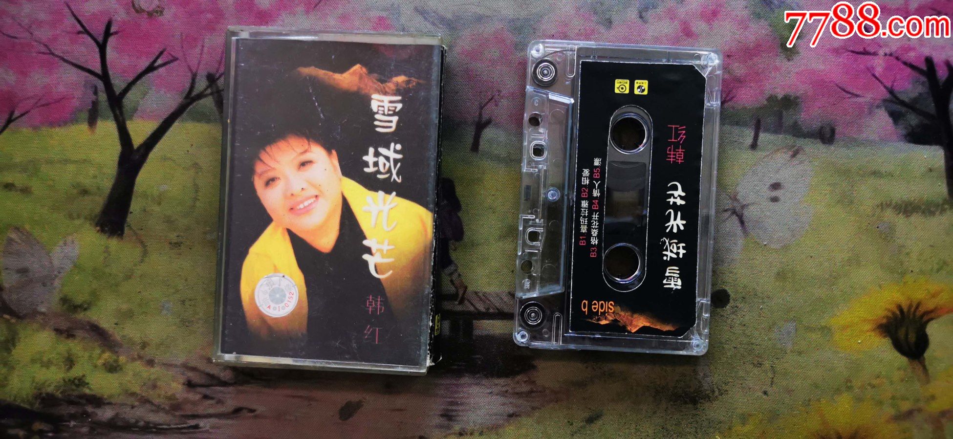 韩红雪域光芒磁带