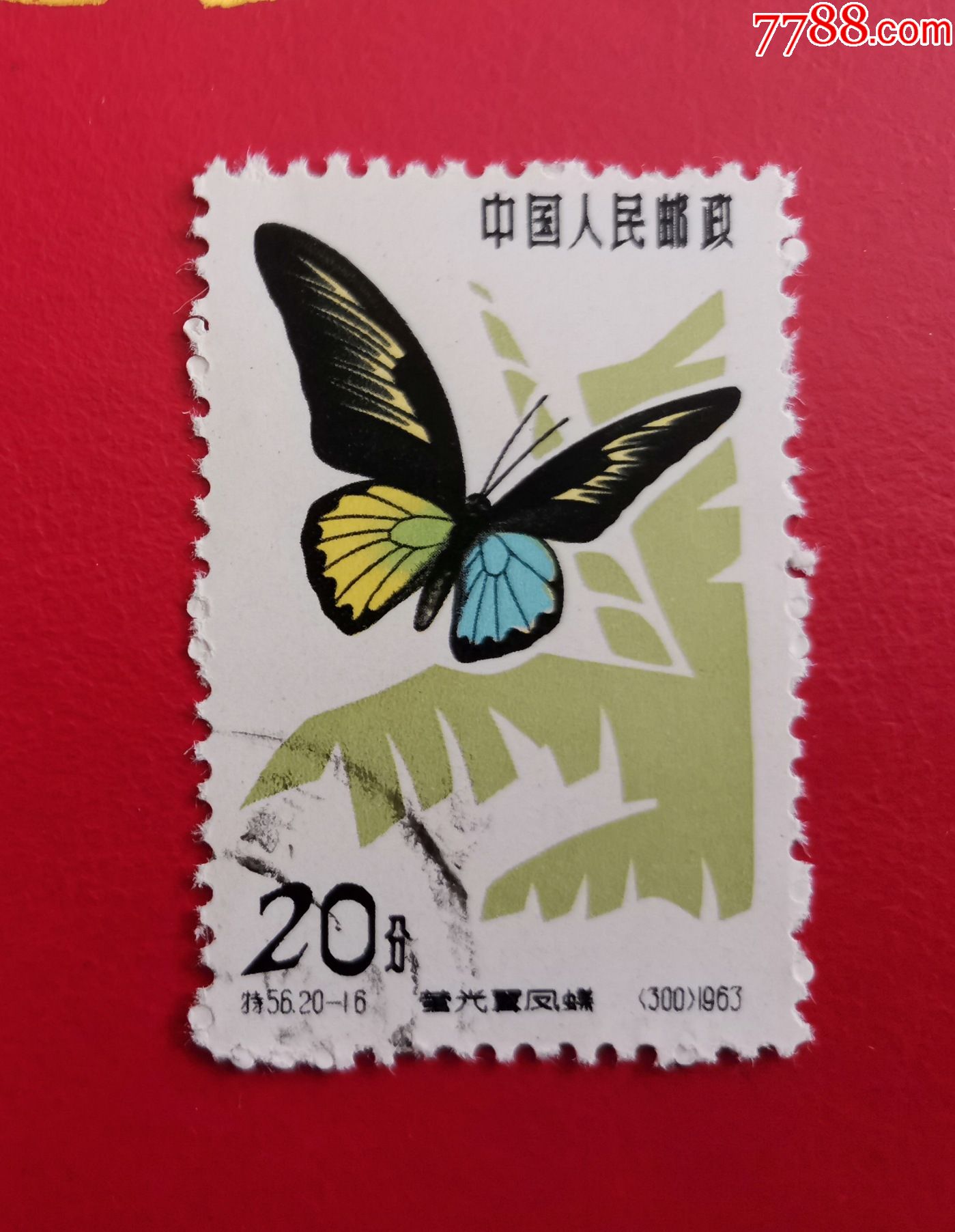 特56蝴蝶邮票20-16盖销全品-价格:60元-se84944110-新中国邮票-零售