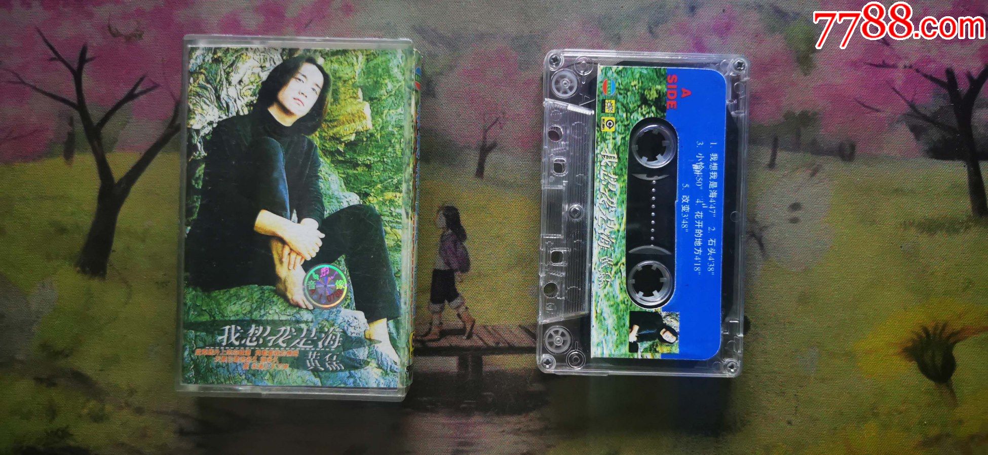 黄磊我想我是海磁带