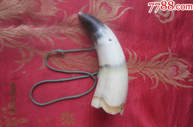 吹响声音很好听的文革莲口牛角号