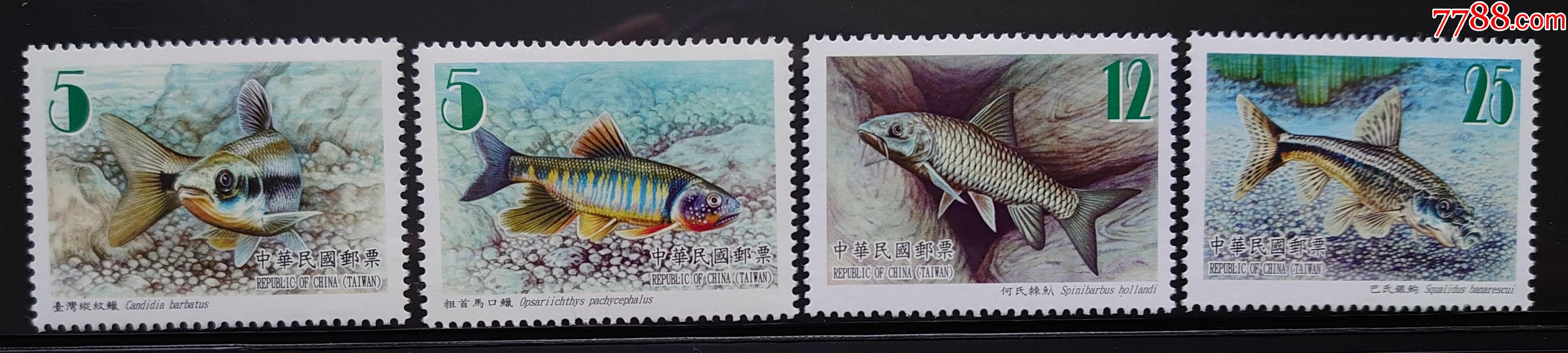 邮政用品邮票动物鱼类特557鱼类邮票14全2011年原胶全品