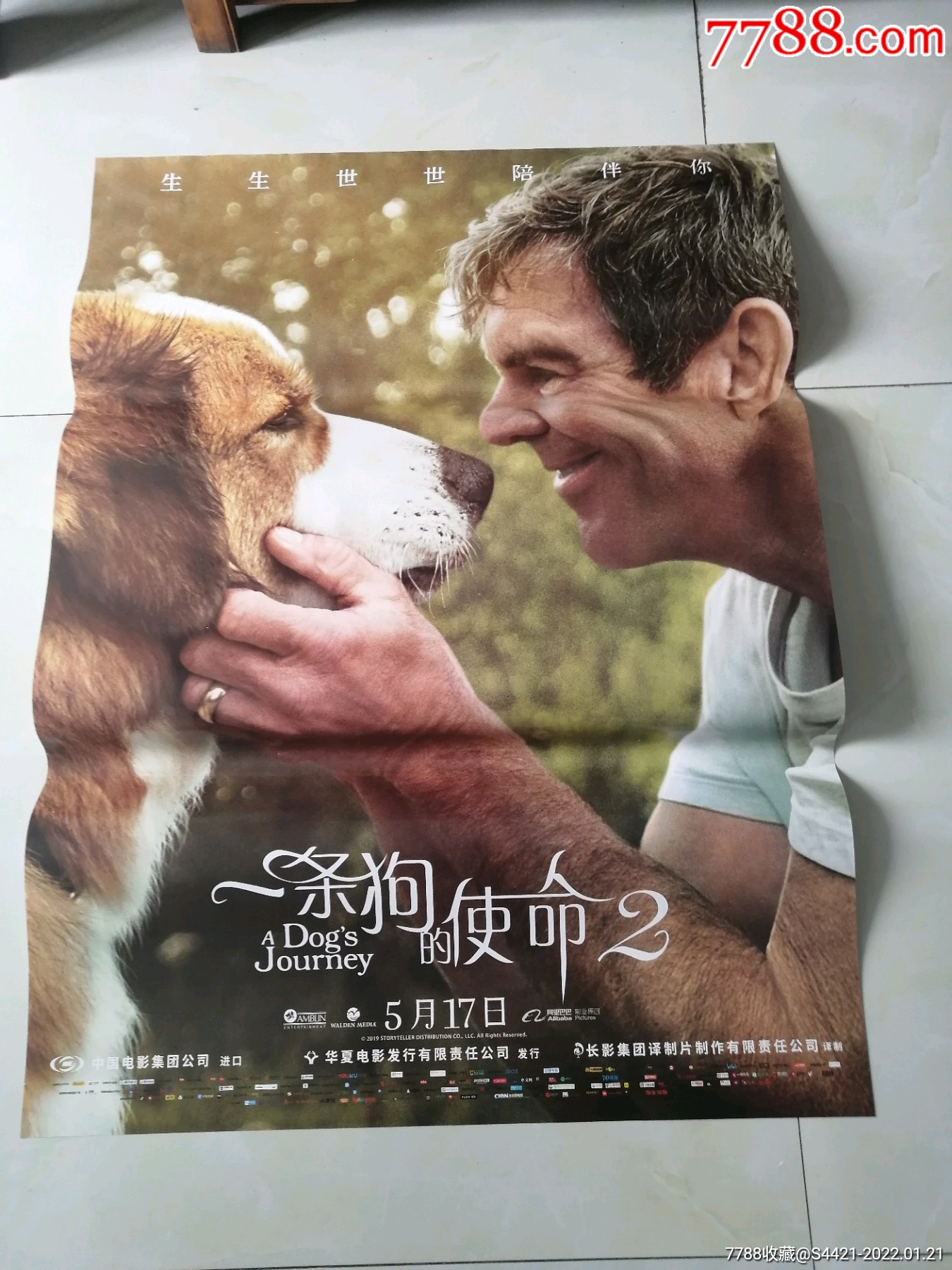 一条狗的使命_电影海报_万龙聚宝阁【7788收藏__收藏热线】