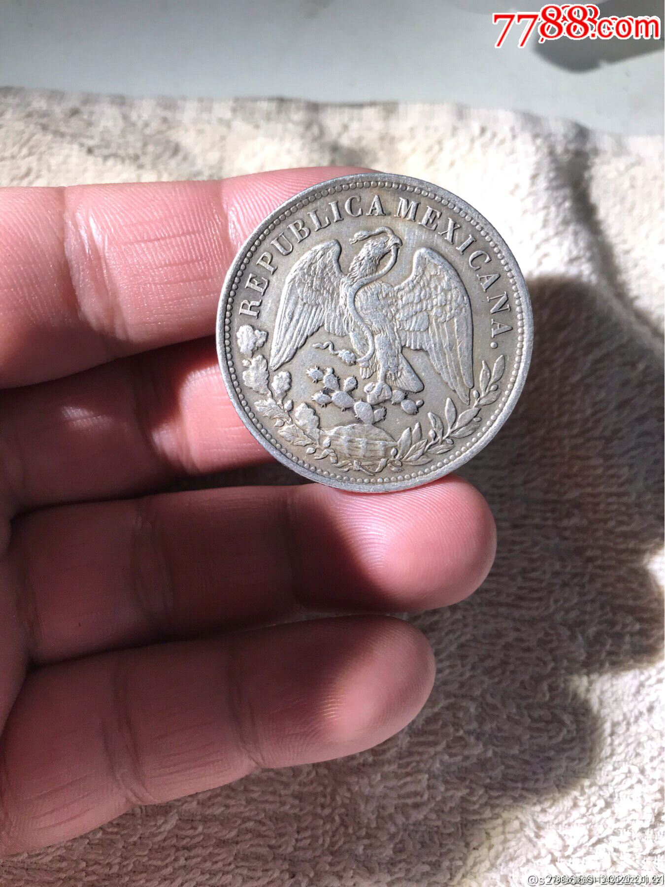 直边鹰洋本网已鉴定真品