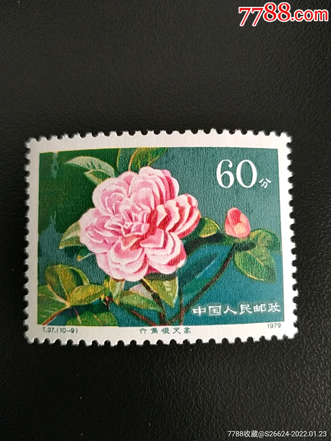 1979年t37山茶花郵票六角恨天高10960分郵票1枚新