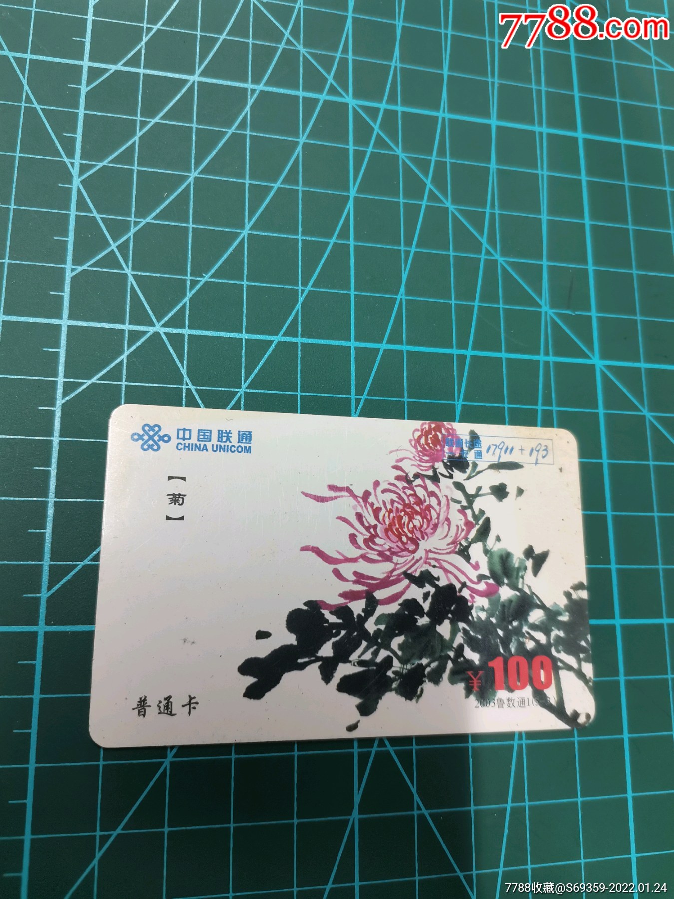 菊花淄博版卡