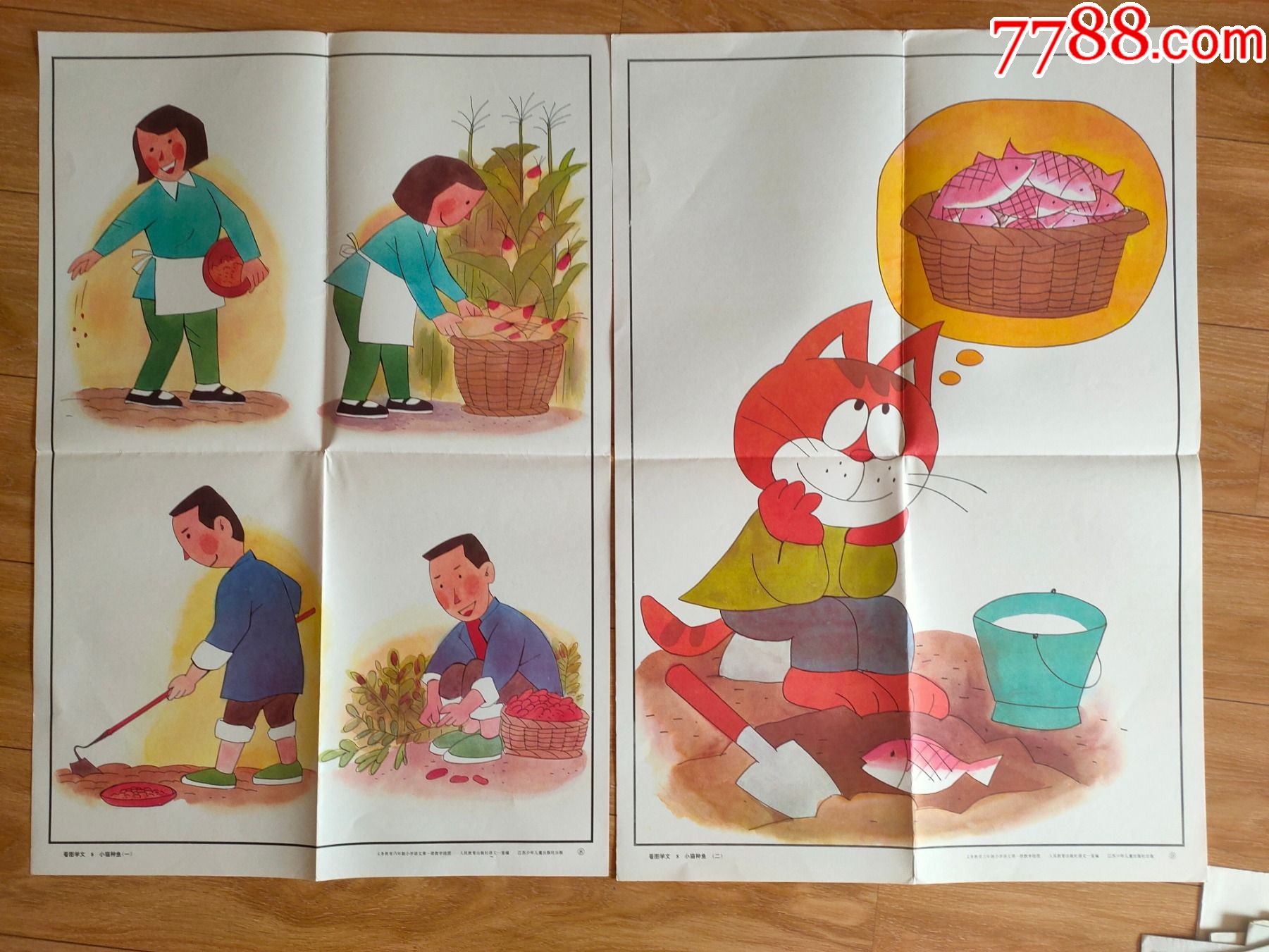 看图学文小猫种鱼一二2张