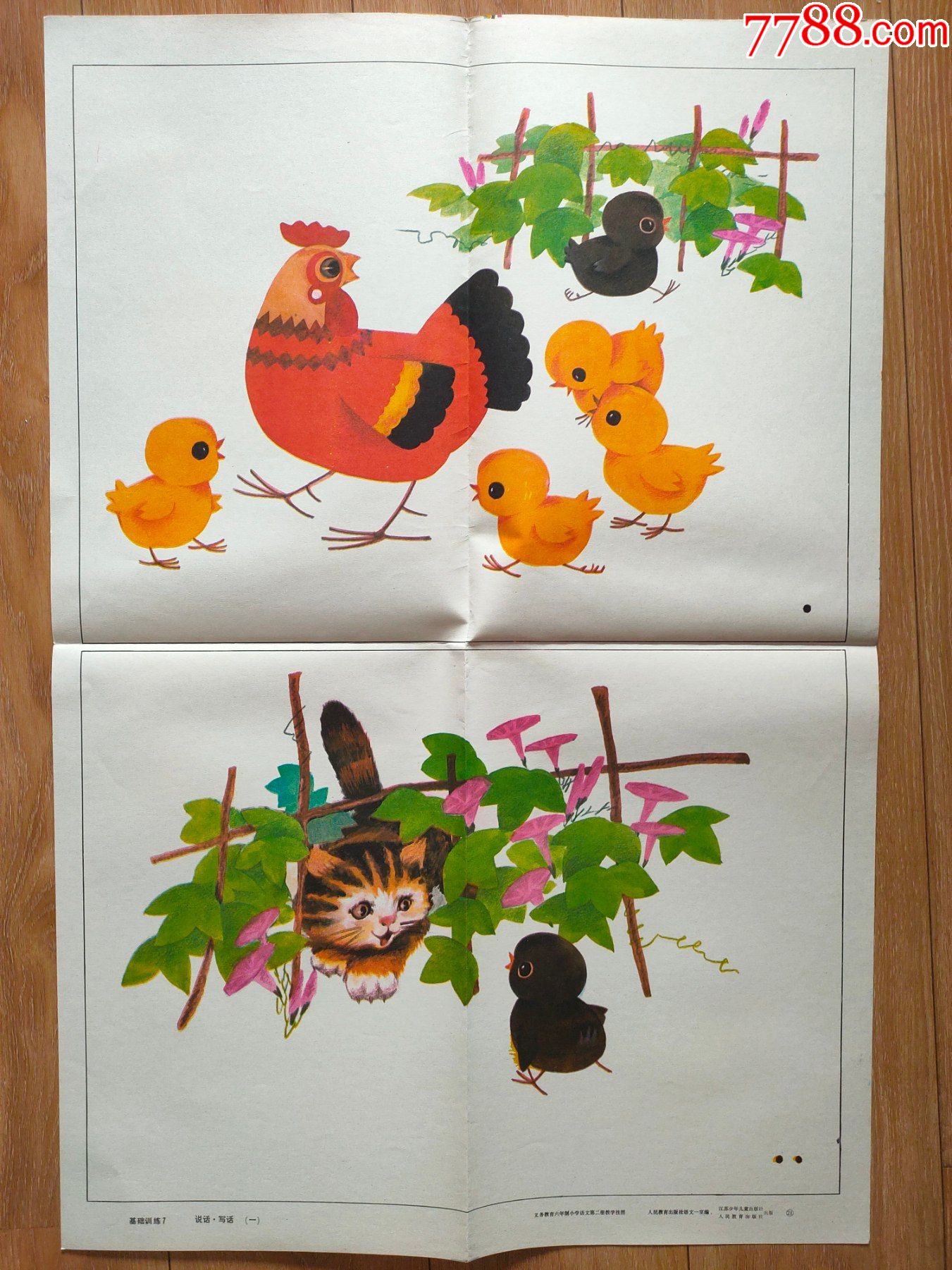 基础训练7看图写话(一)_教学挂图_五光十色【7788收藏__收藏热线】
