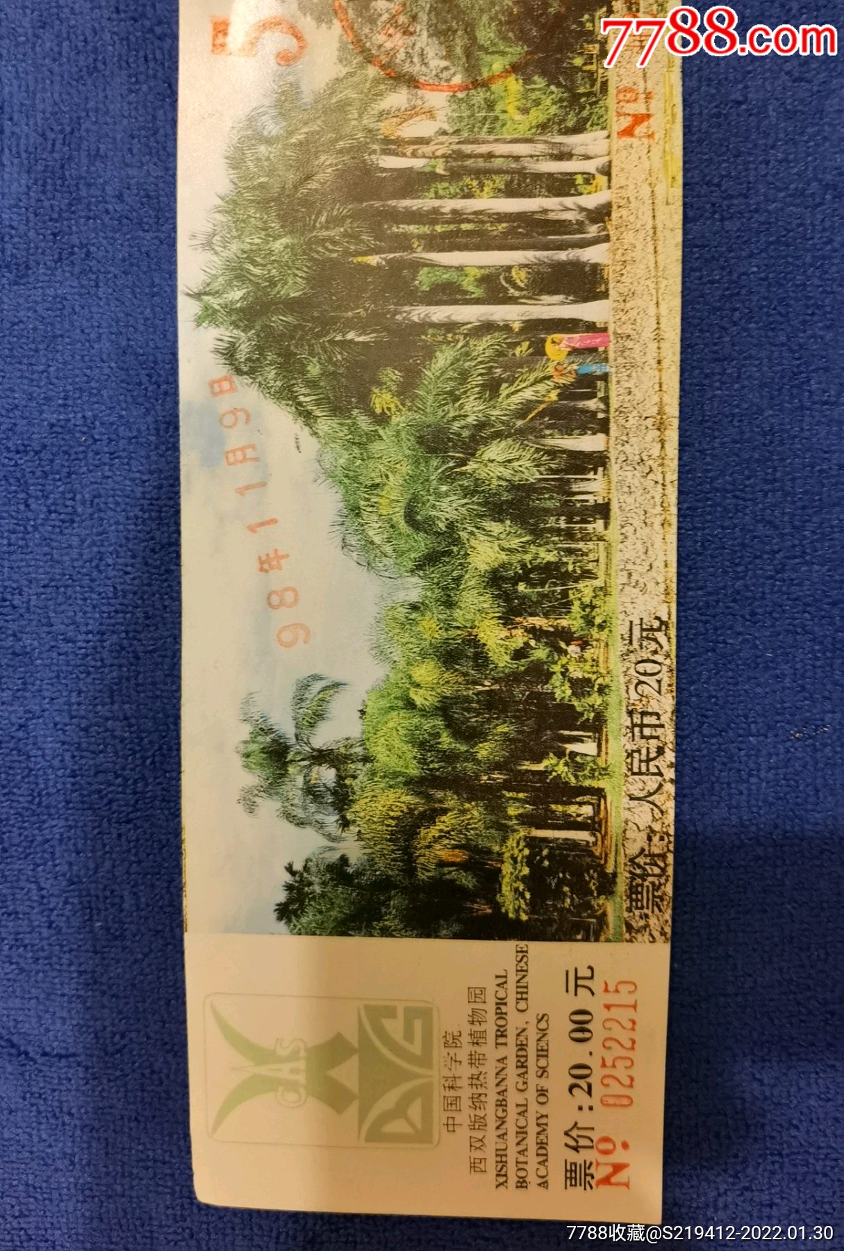 泸州植物园门票价格图片