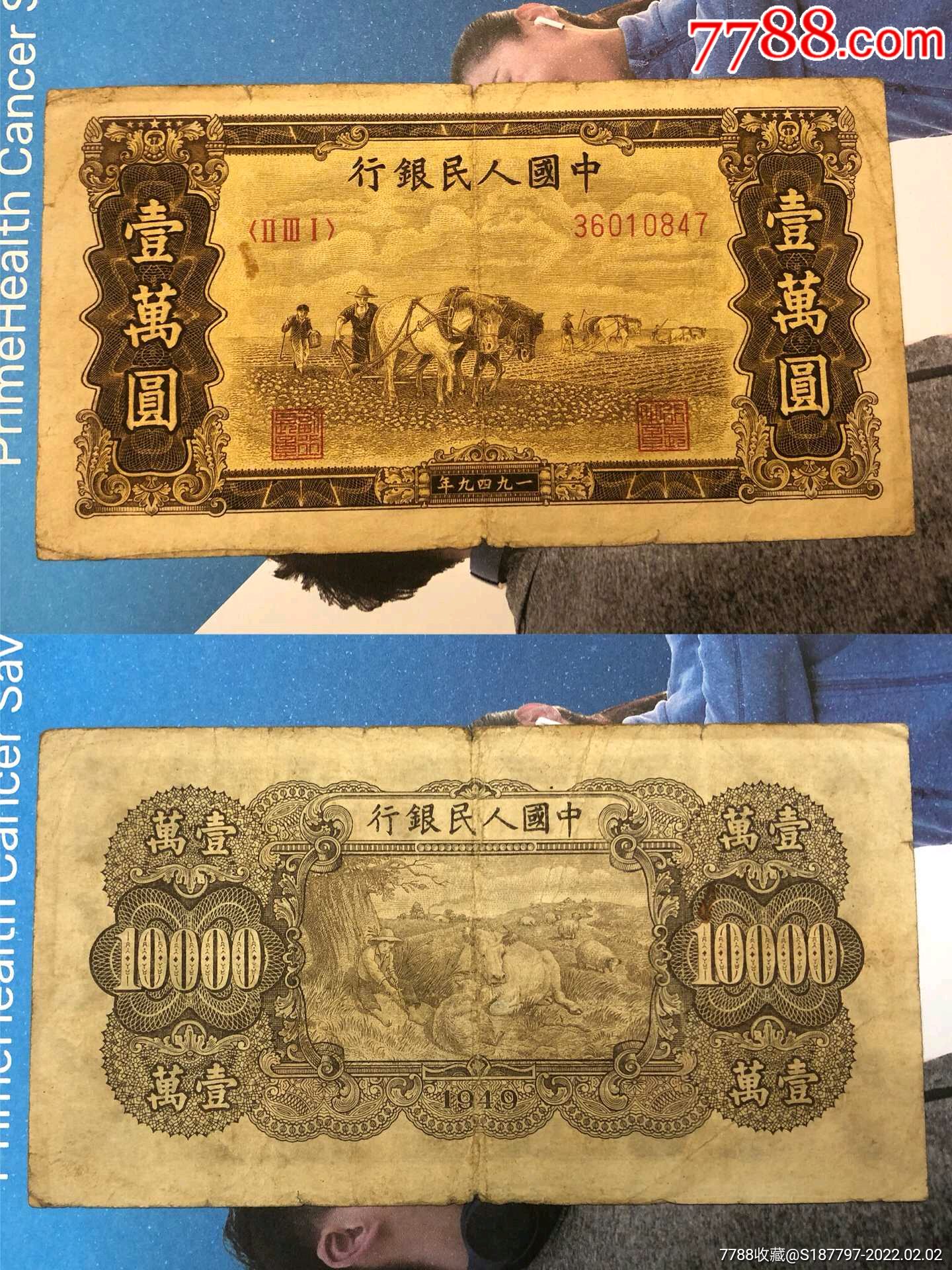 第一套人民币一万元双马耕地菱花水印