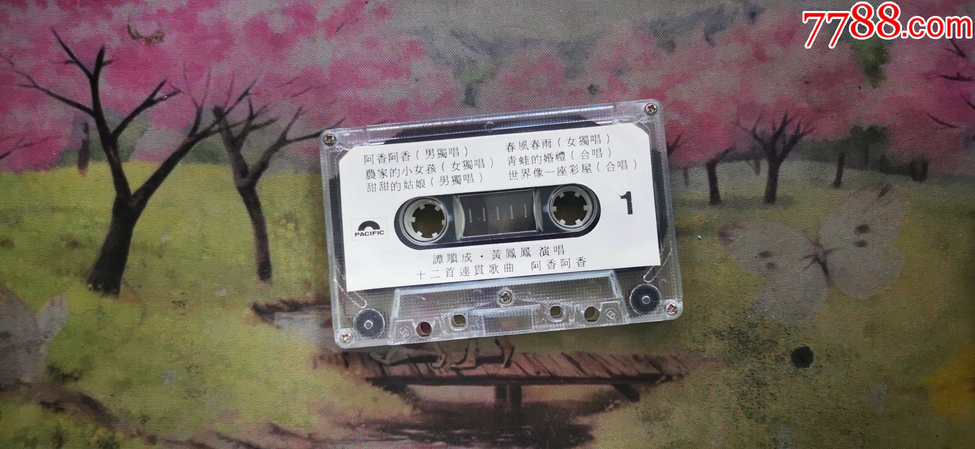 谭顺成黄莺莺演唱十二首连贯歌曲阿香阿香磁带