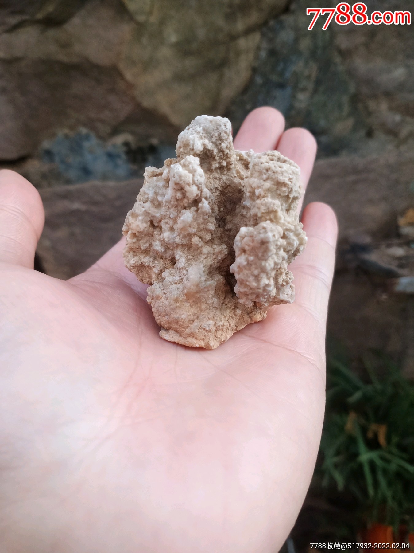 掌中宝山洞笋石小山一座