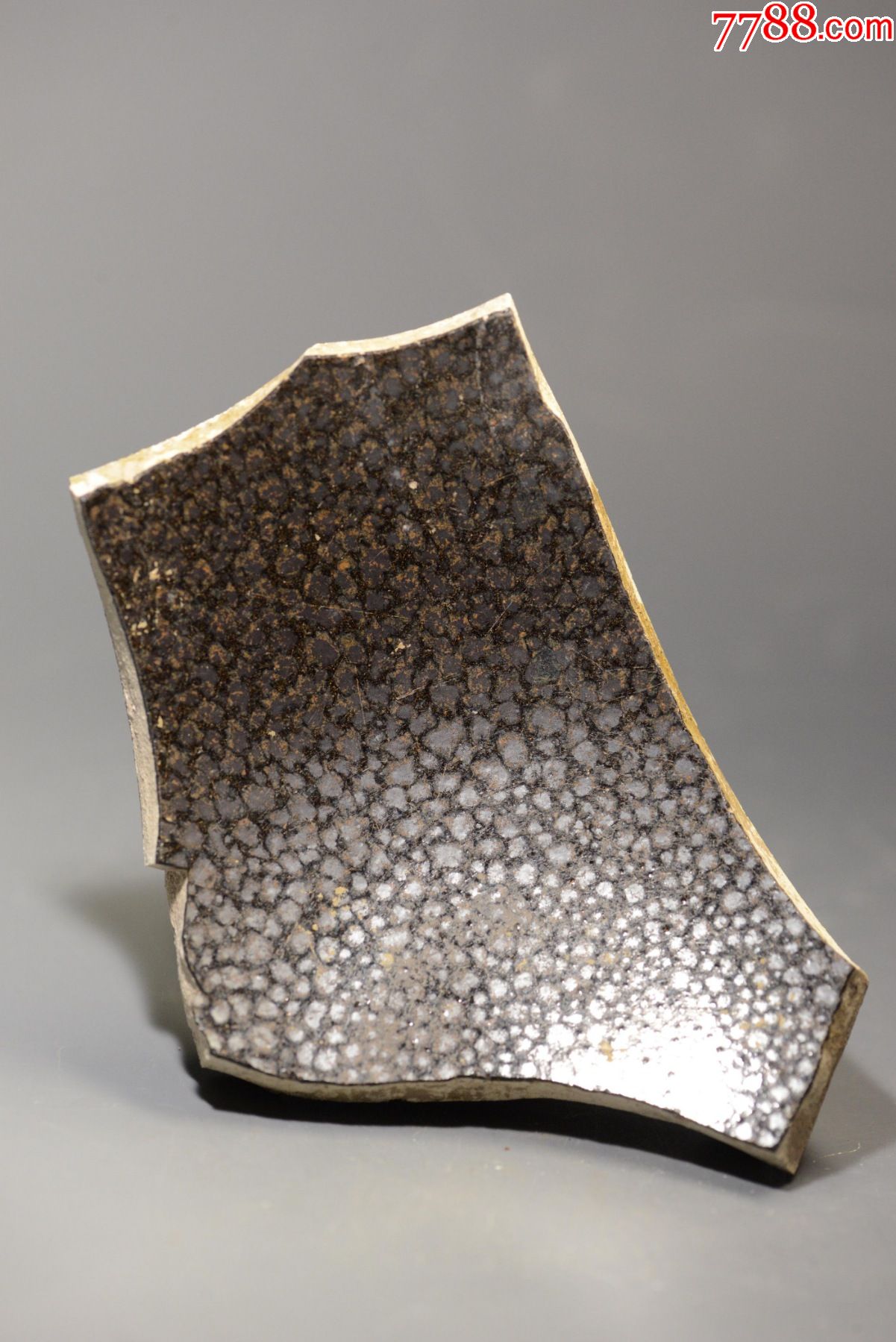 宋北宋油滴盏黑釉油滴标本博物馆科研教学考古发掘1158厘米