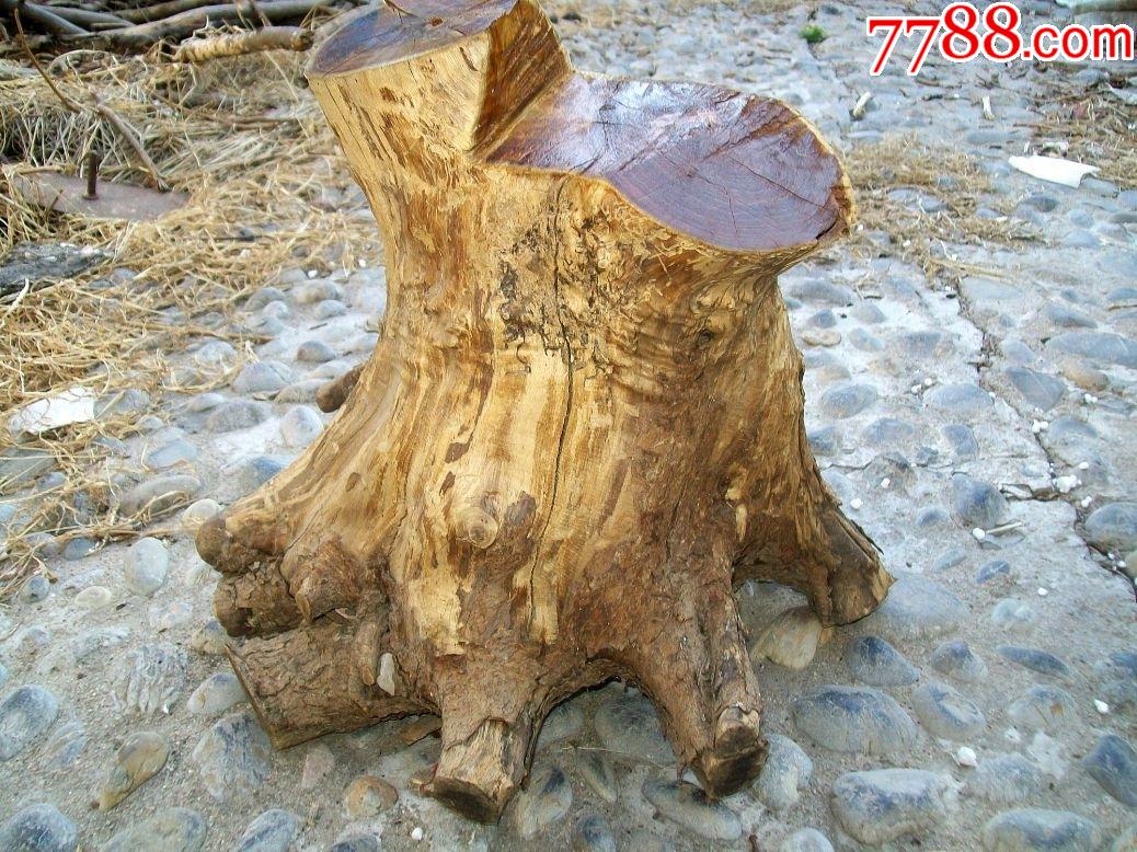 柘木树桩_天然原木_第2张_7788印章收藏