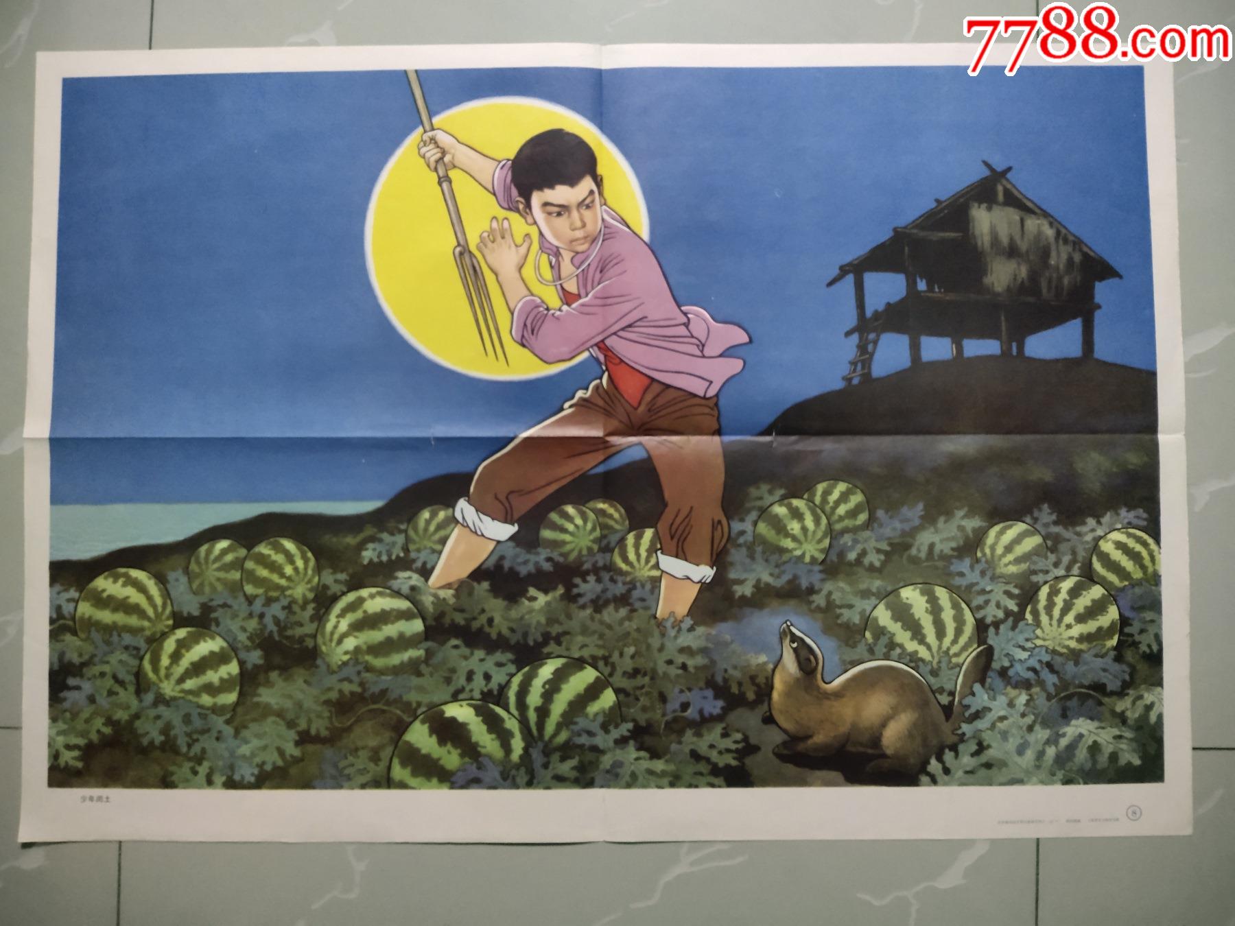 小学语文第九册教学图片少年闰土