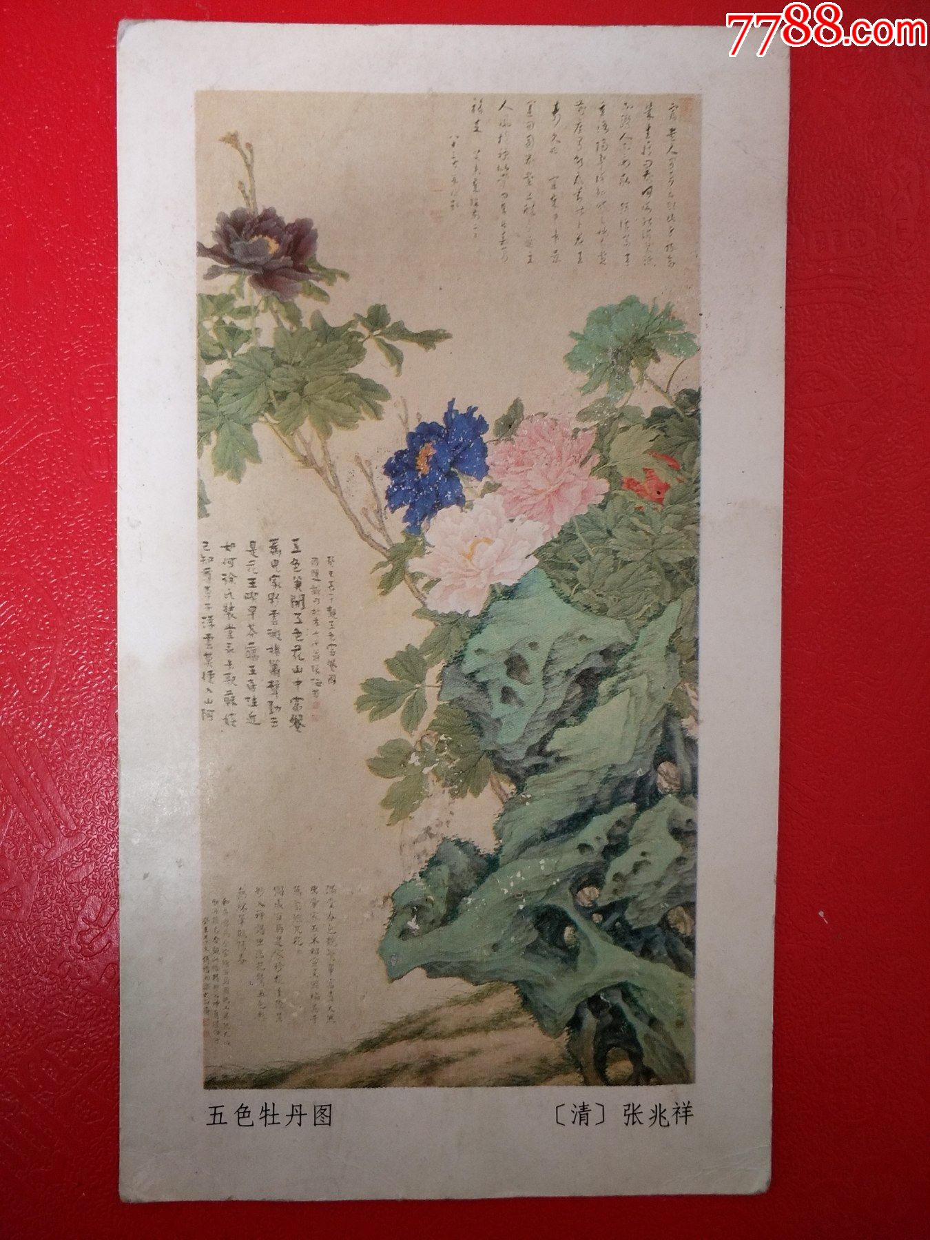 清张兆祥五色牡丹图精美年历卡