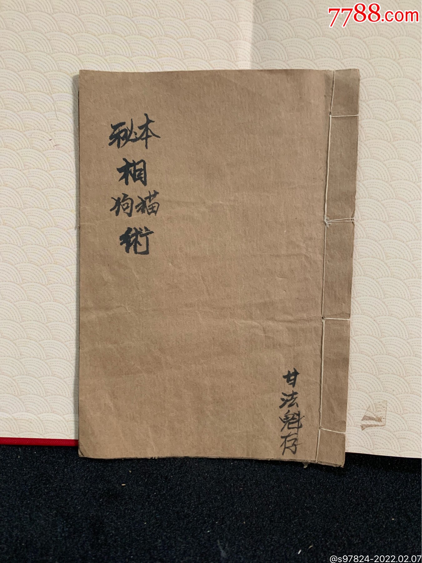 看狗相看猫相猫狗术504