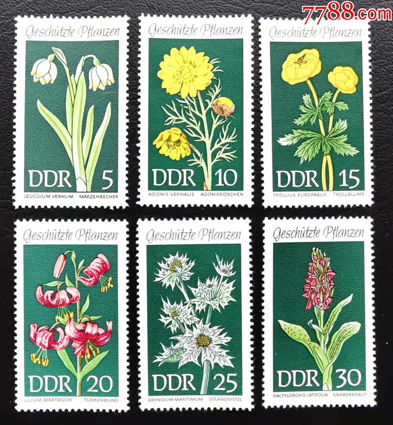 18a东德1969年邮票花卉卷丹百合兰花等6全新原胶全品