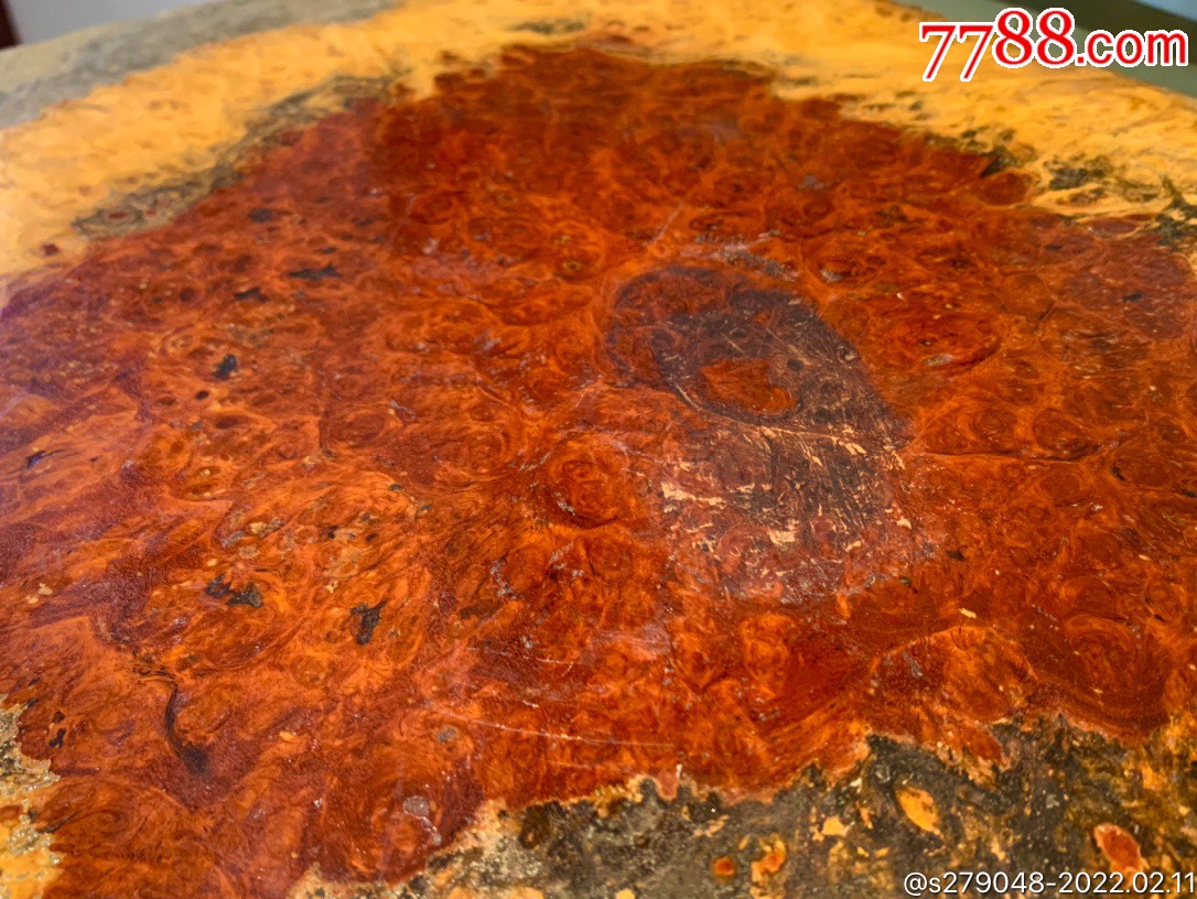 百年老樱木茶台