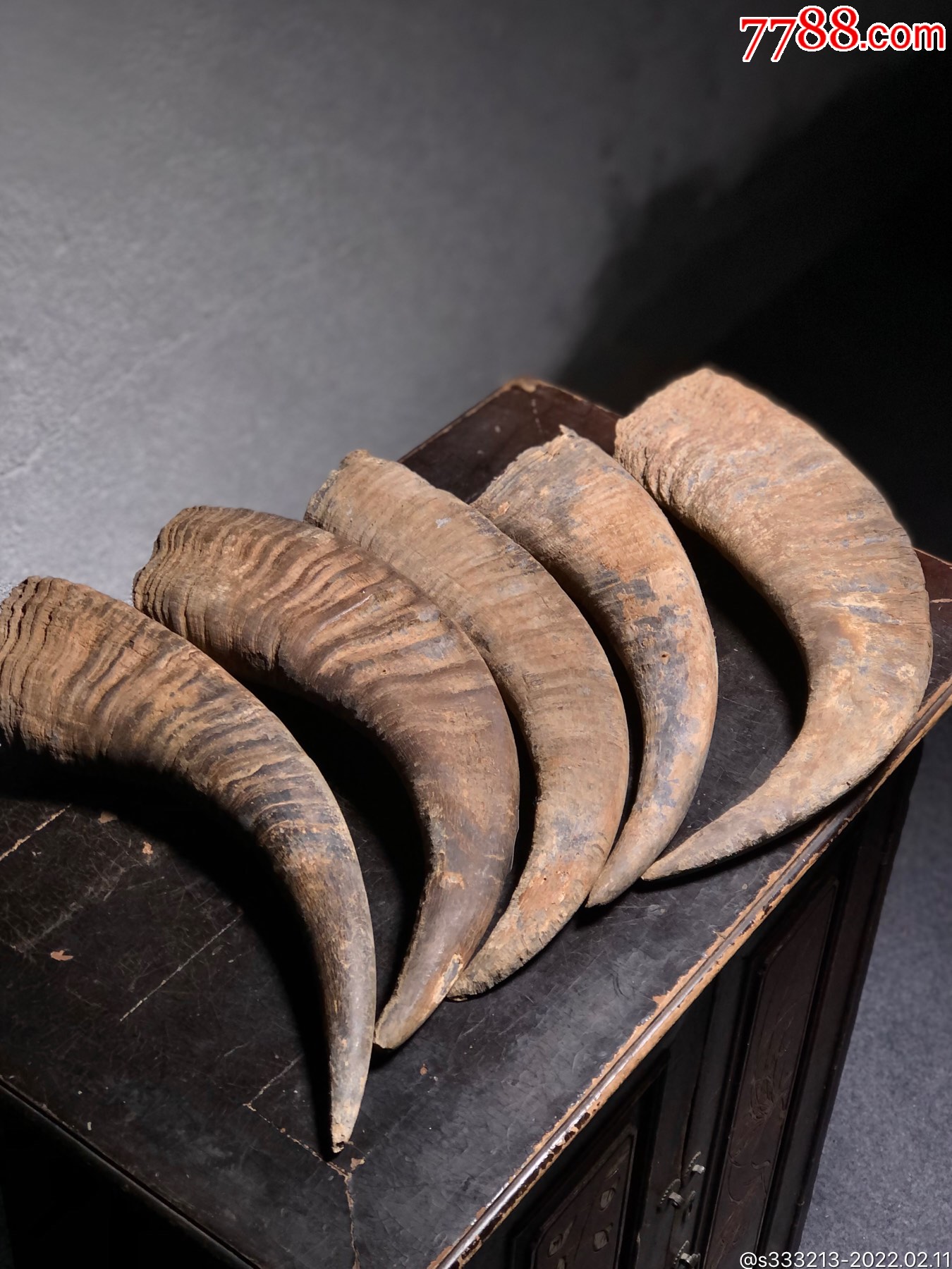 乡下土老水牛角