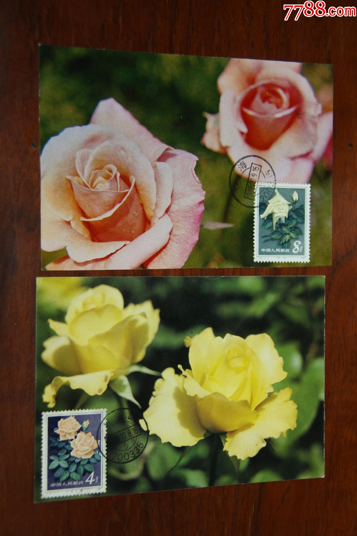 月季花极限明信片