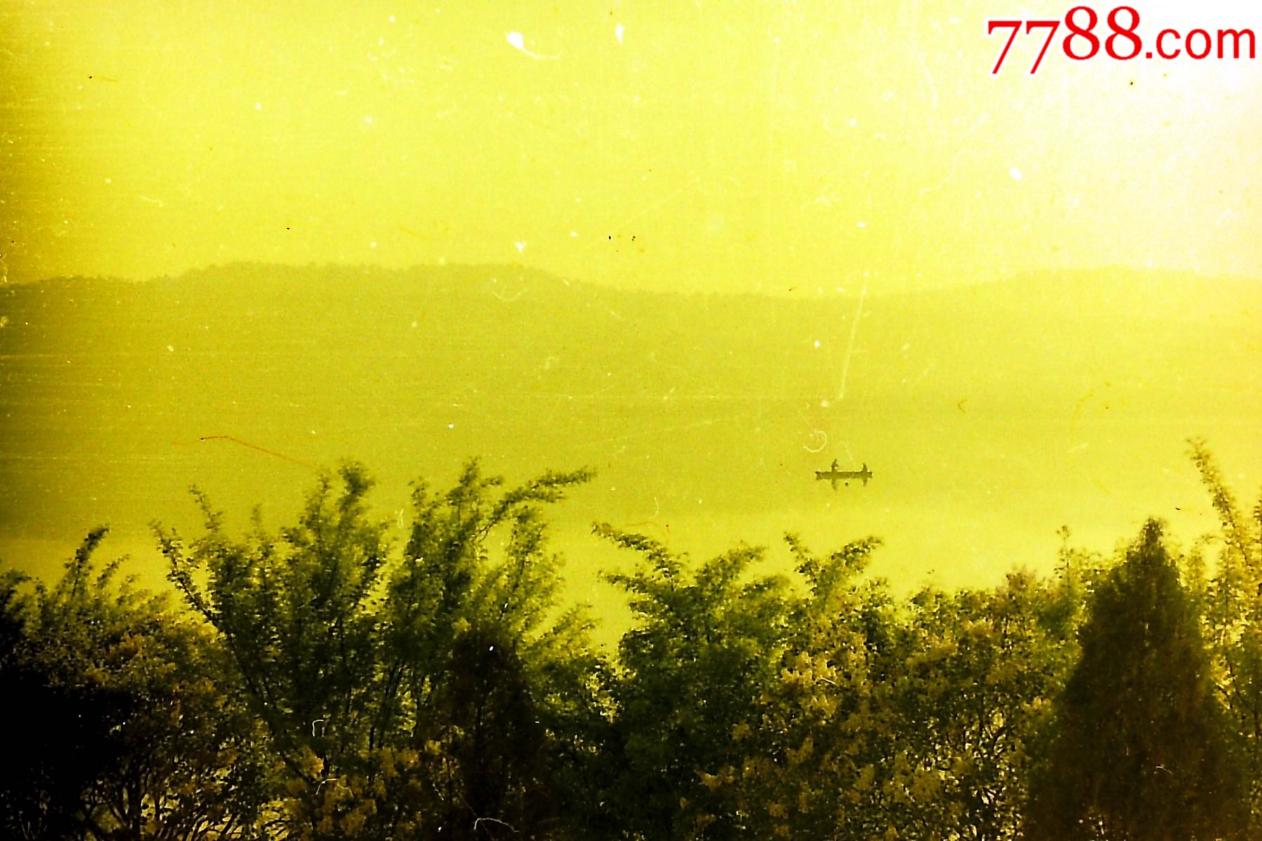 一叶小舟仅上传反转后的照片部分135老底片