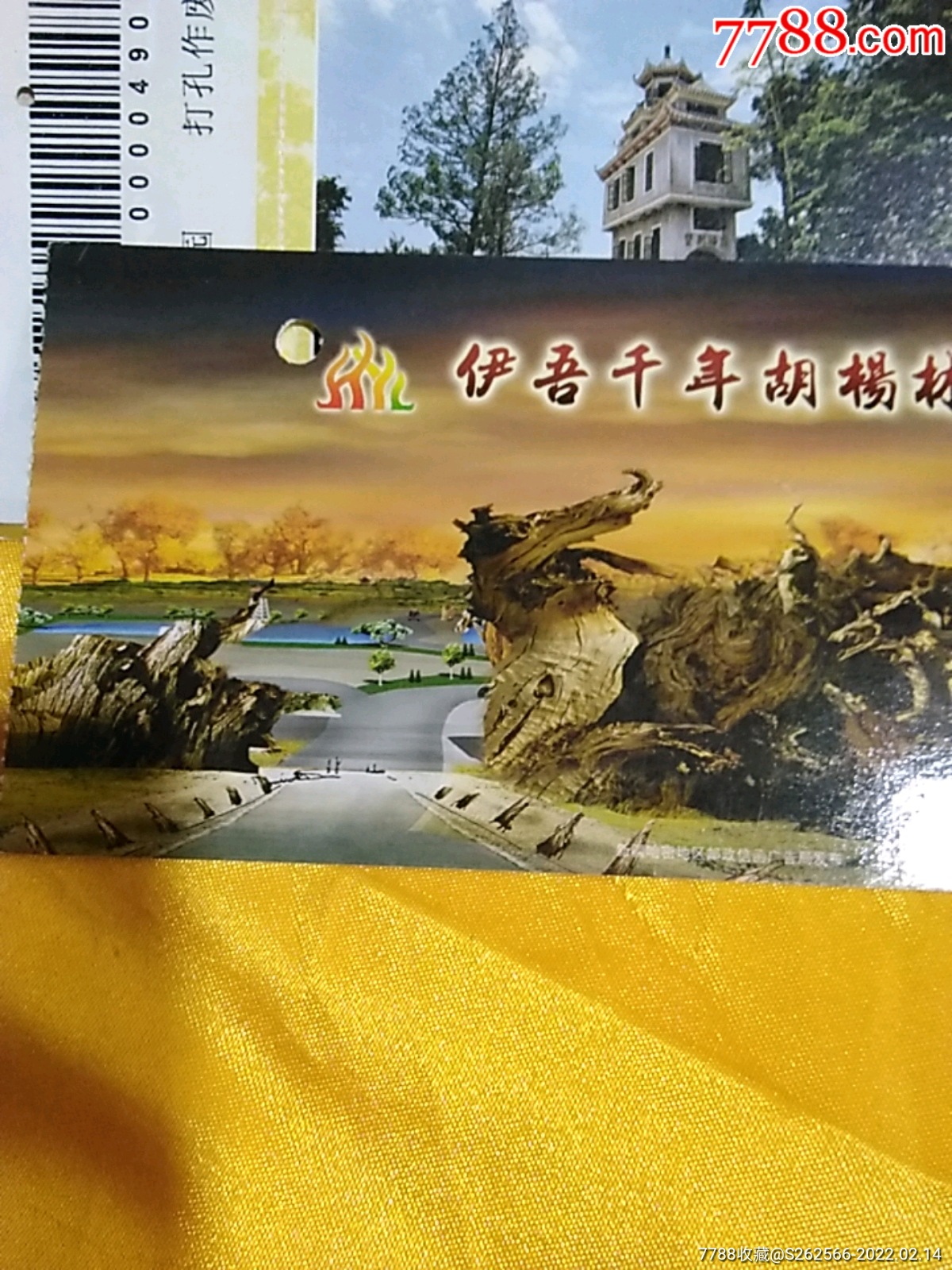 伊吾胡杨林门票图片