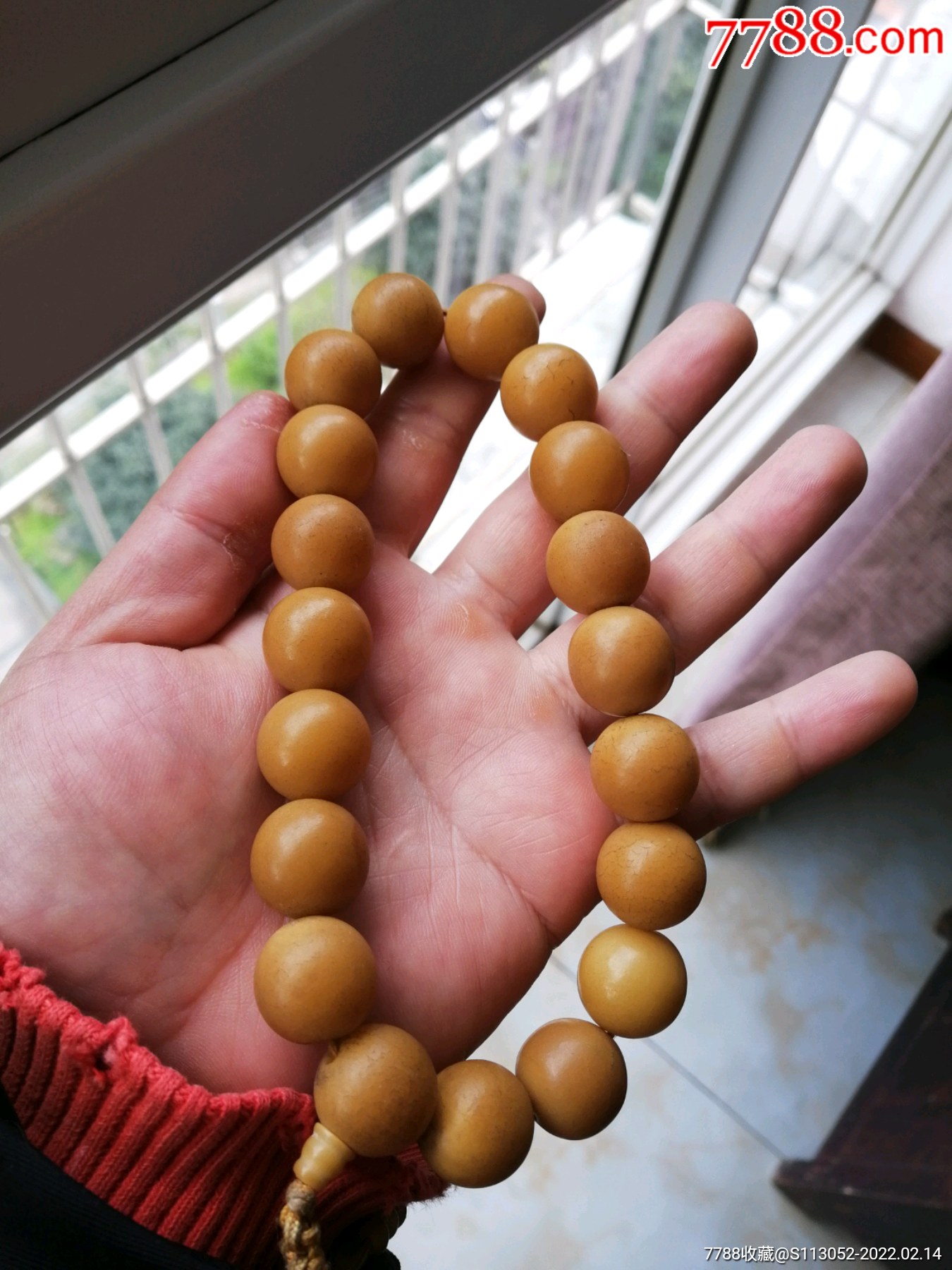 老菩提子大珠18子_菩提手串/佛珠_第2张_7788印章收藏